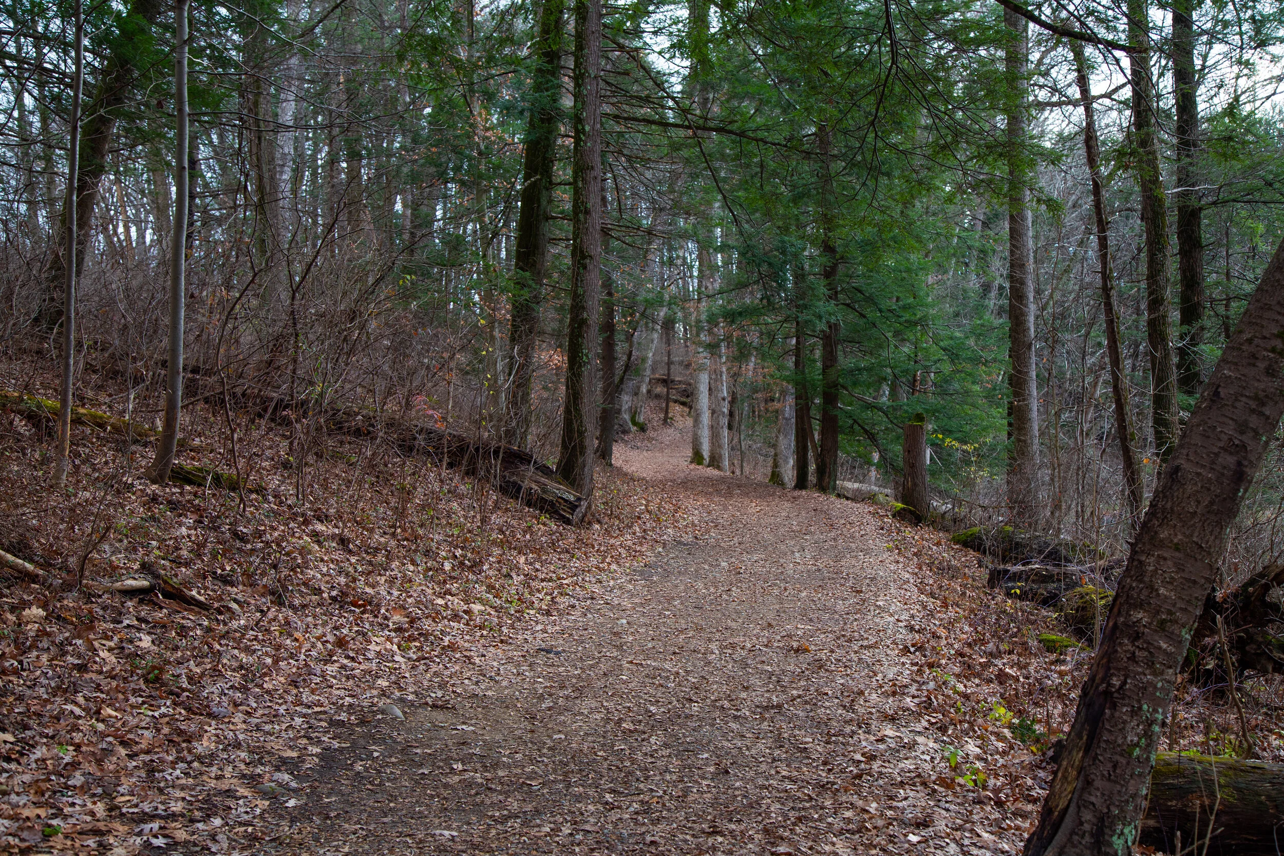 Jacobsburg State Park, November 27, 2020