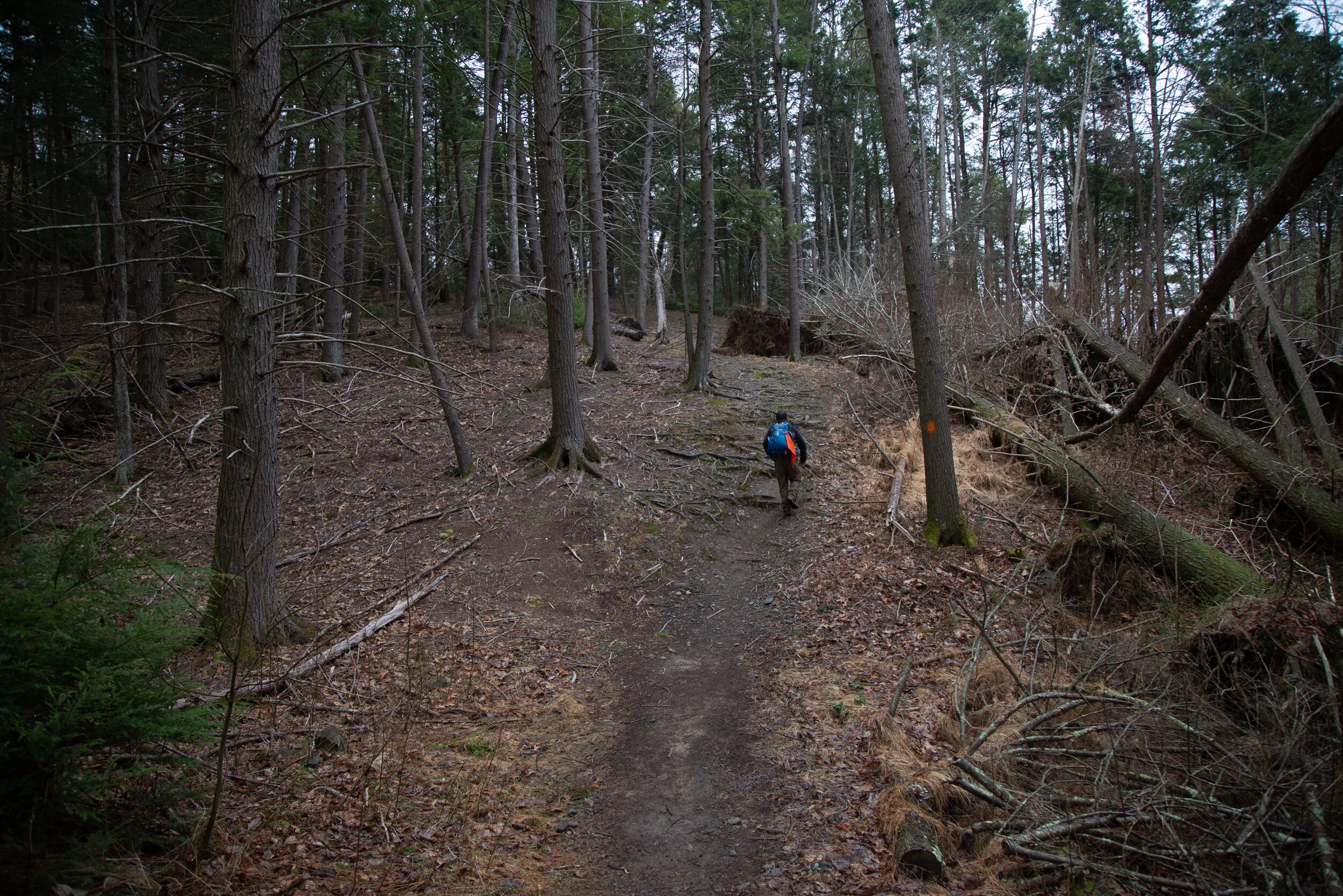 Delaware Water Gap National Recreation Area, Tumbling Waters, Ridgeline, Scenic Gorge, April 10, 2021