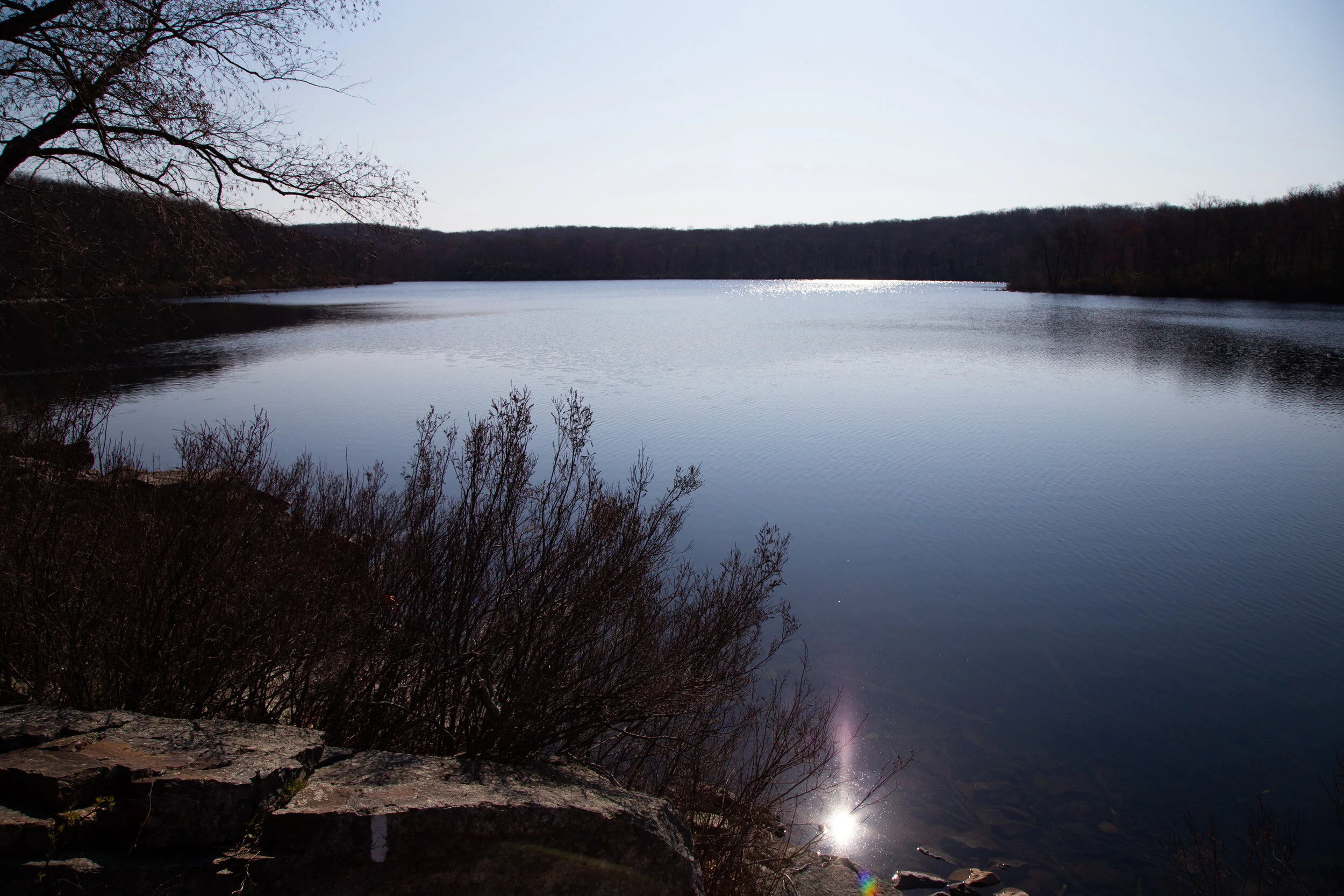Delaware Water Gap National Recreation Area:   Sunfish Pond via Garvey Springs, Appalachian Trail, Douglas Trail, Rockcores Trail, 7 Miles RT, 1,345 +/-, April 24, 2021