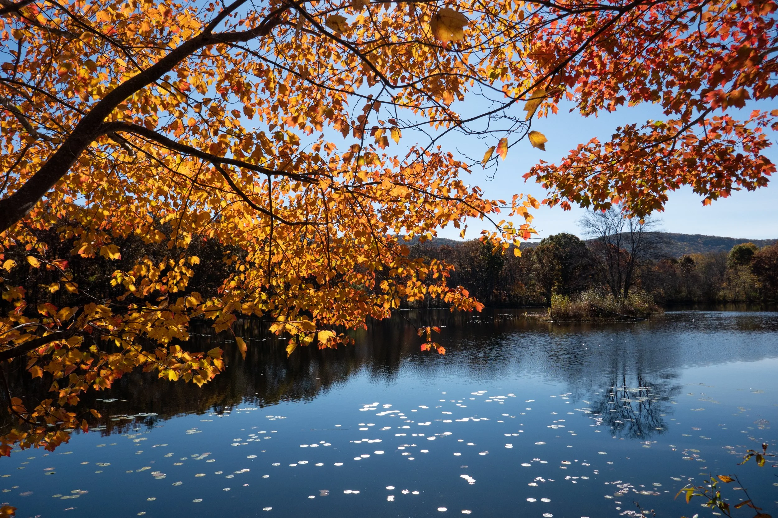 Nescopeck State Park Walk, October 28, 2021
