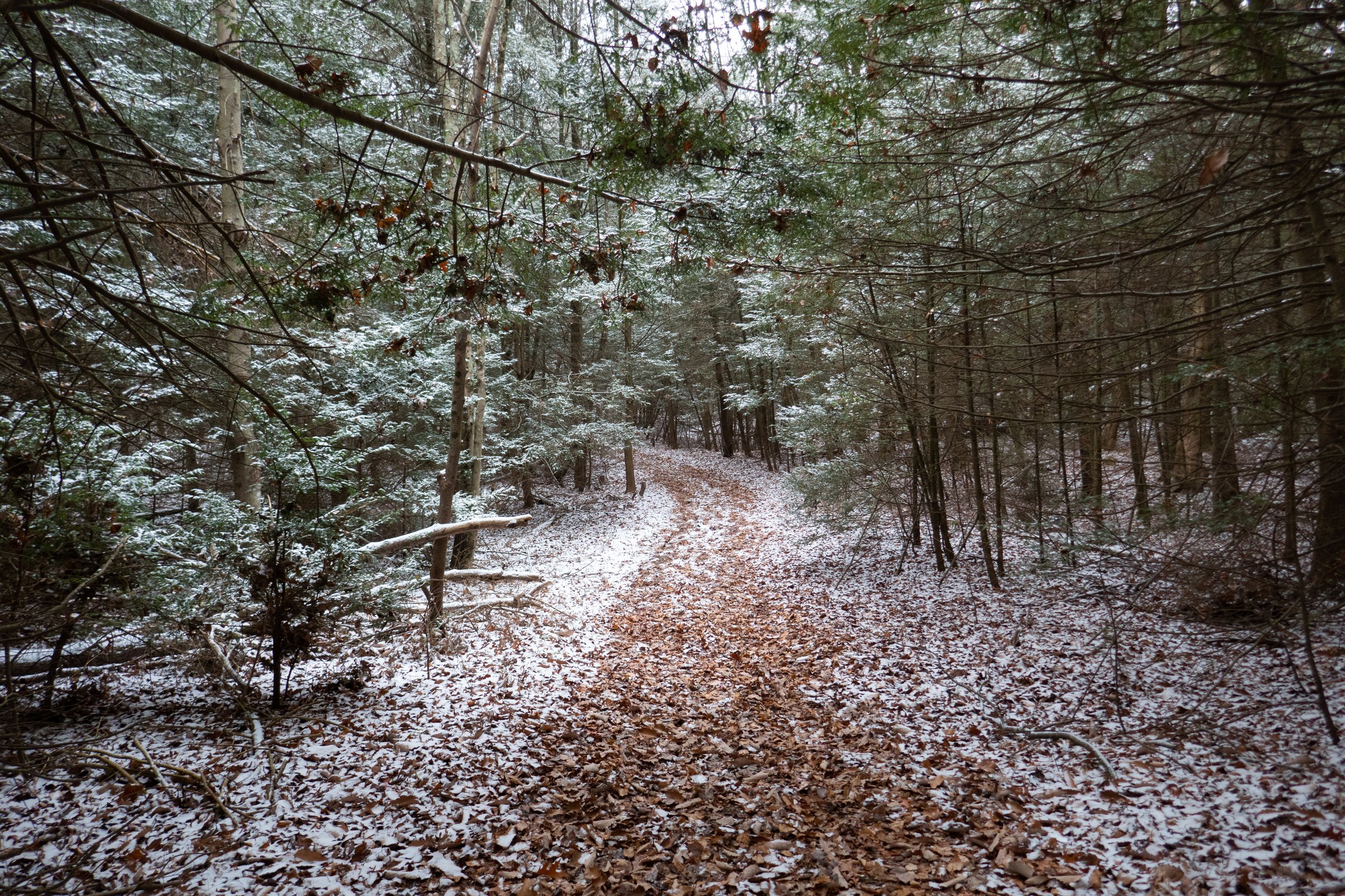 Delaware Water Gap National Recreation Area, Blue Mountain Lake, Hemlock Pond, 6 Miles, November 28, 2021