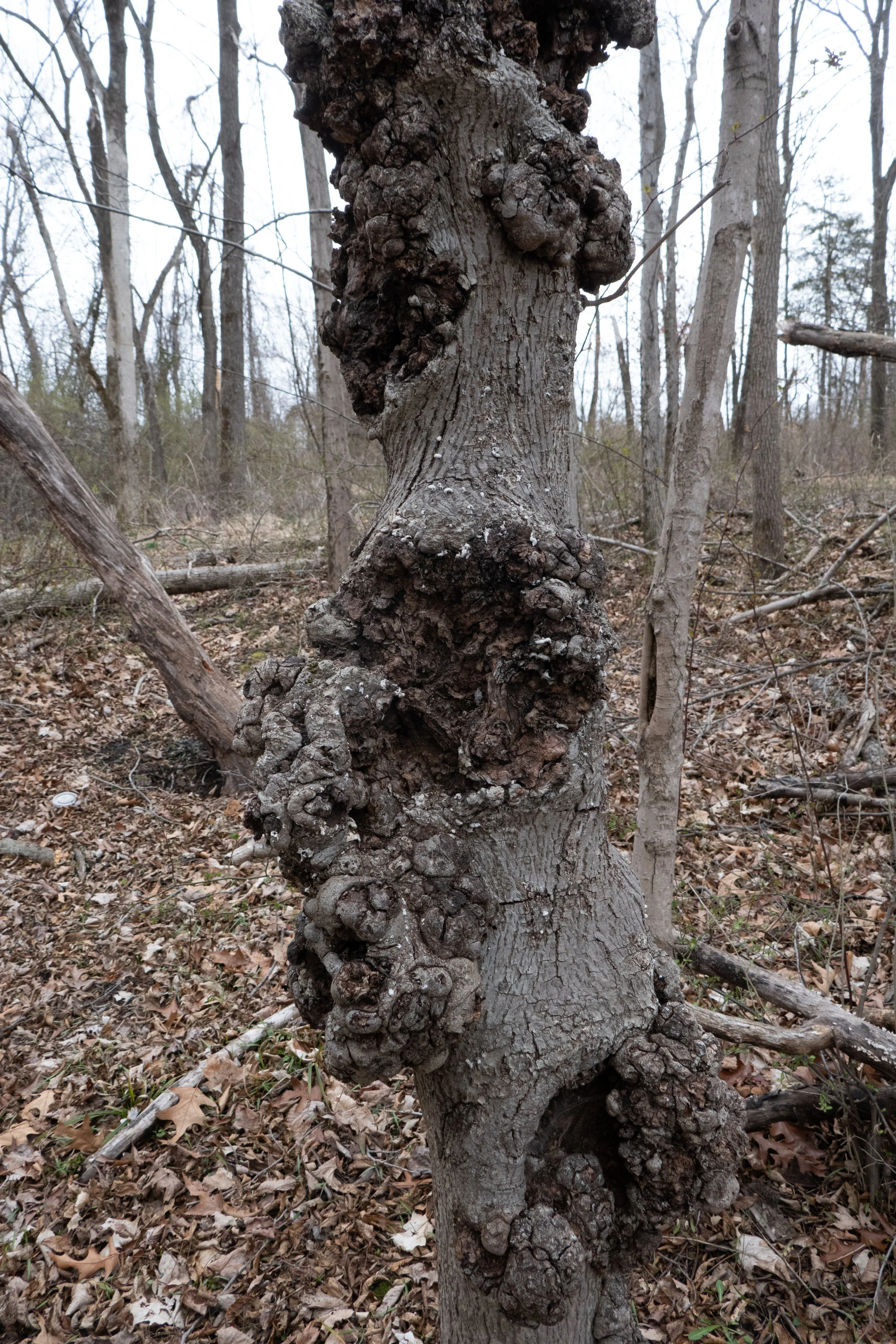 web-1330268.jpg