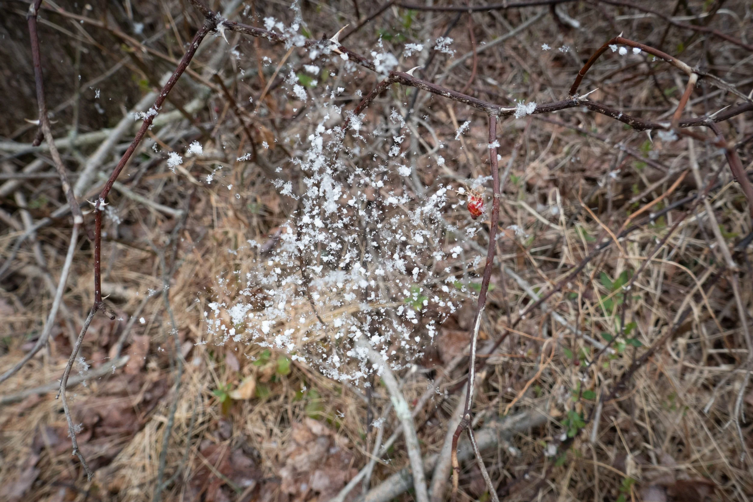 web-1330321.jpg