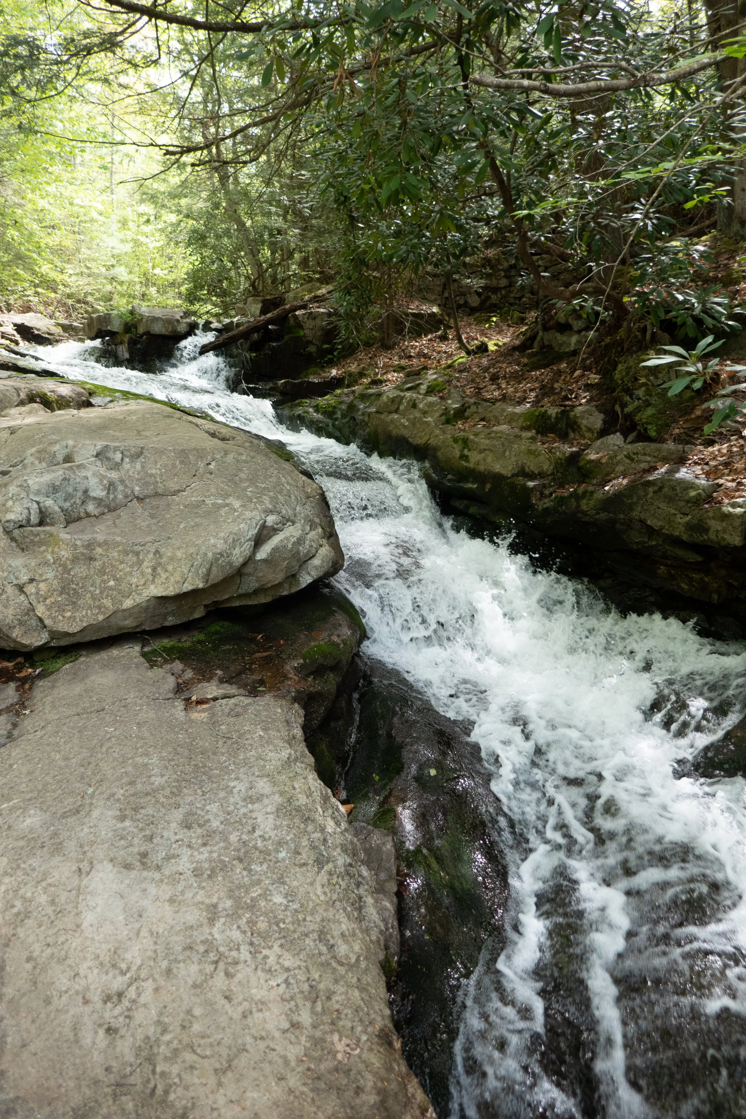 Hickory Run State Park, Shades of Death &amp; Beach Trail, May 18, 2022