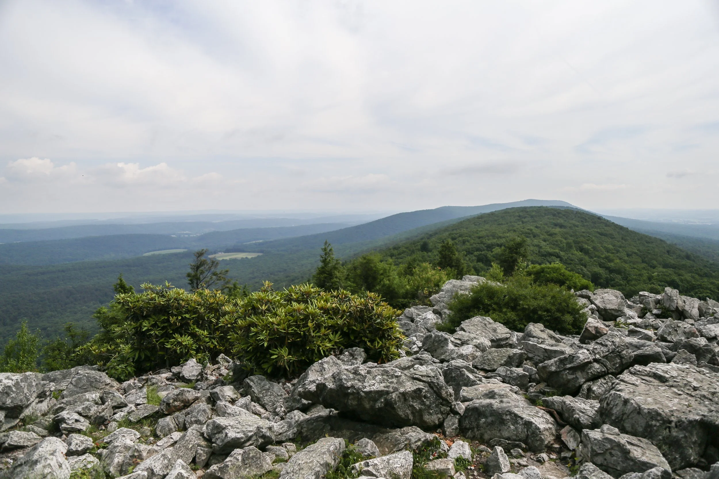 Hawk Mountain Sanctuary, North Lookout, June 13, 2022