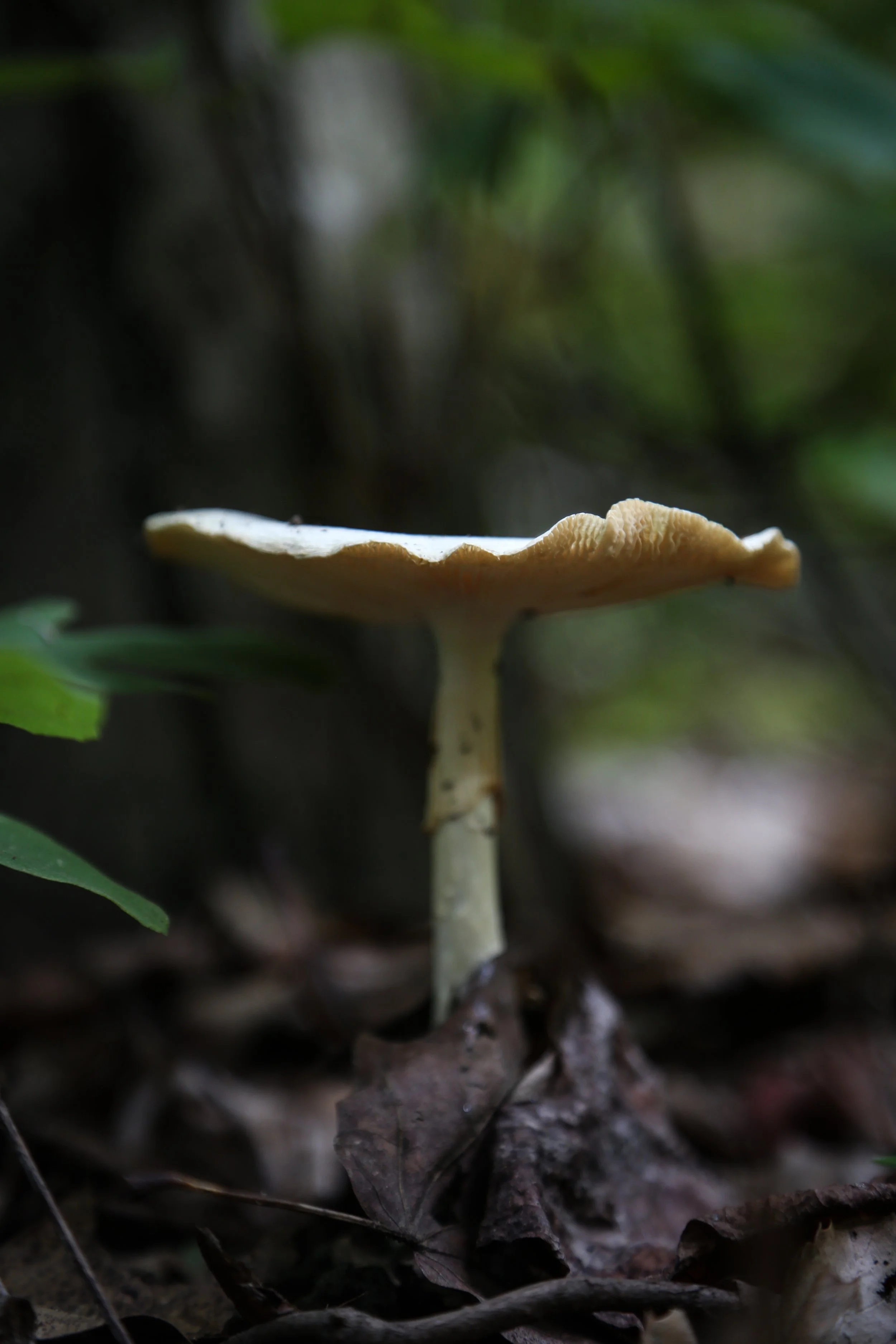 web-6358.jpg