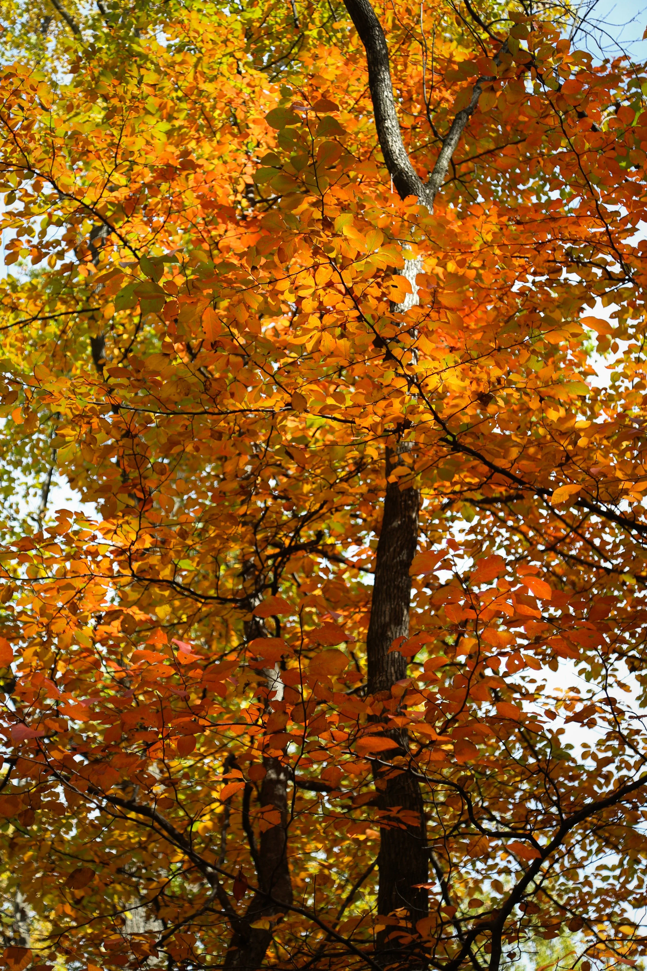 Mariton Wildlife Sanctuary, October 19, 2022