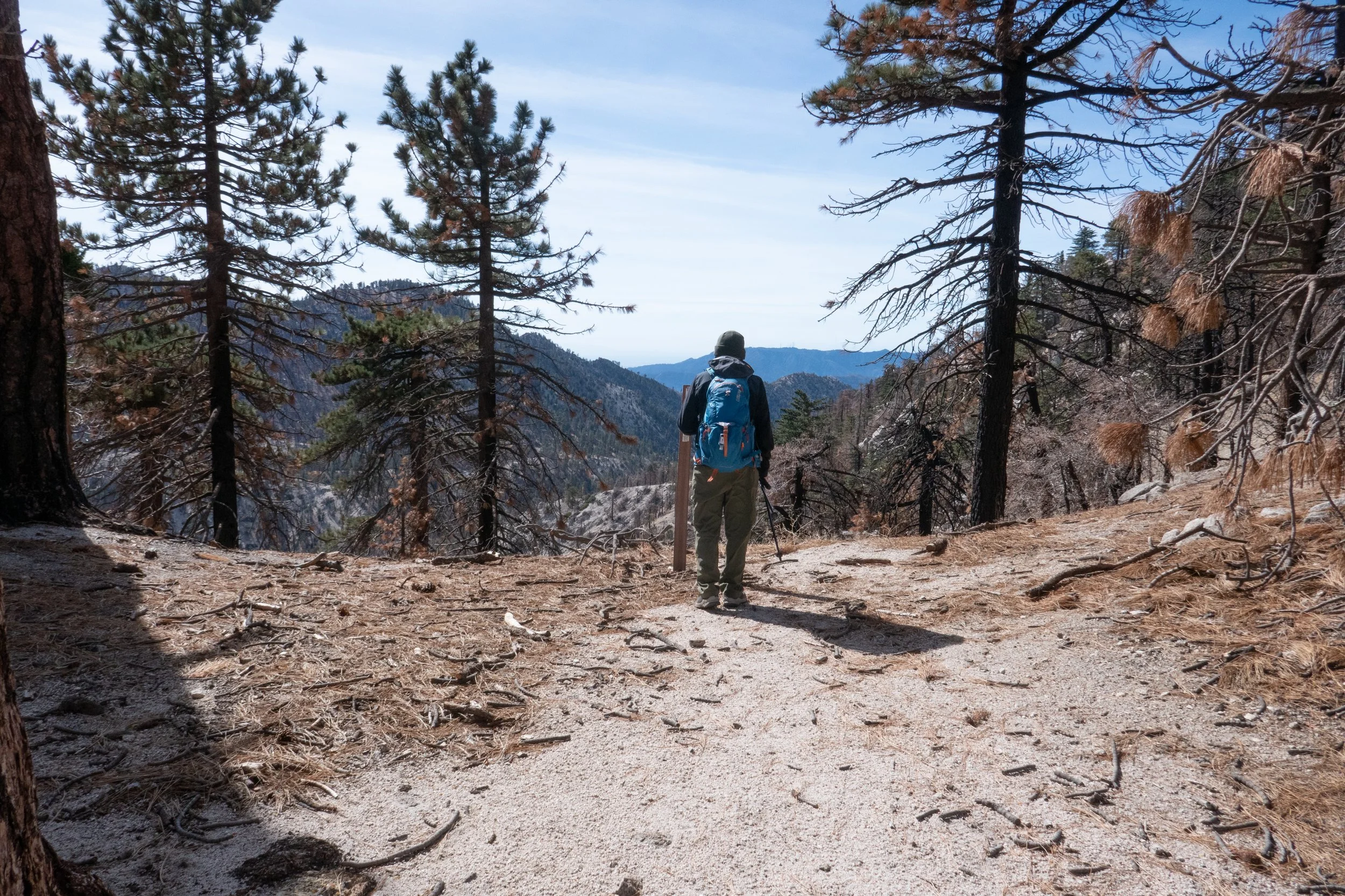 Coming home:  Waterman Mountain, 8,037', 7 miles RT, (1,319 +/-), November 4, 2022 