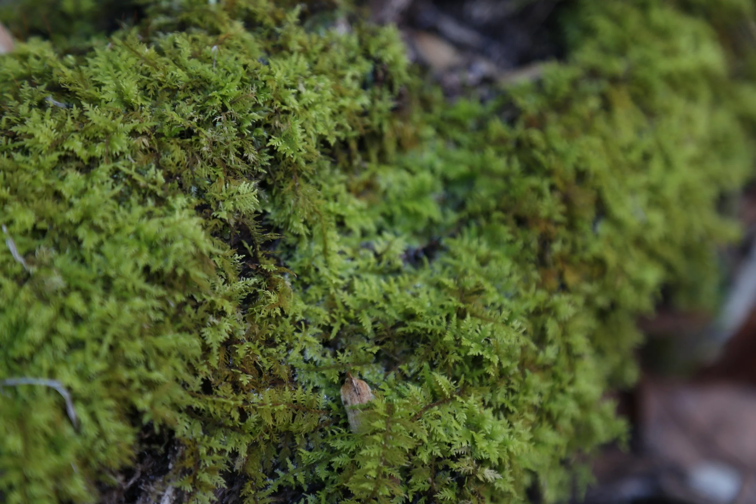 January 28, 2023, Mariton Wildlife Sanctuary