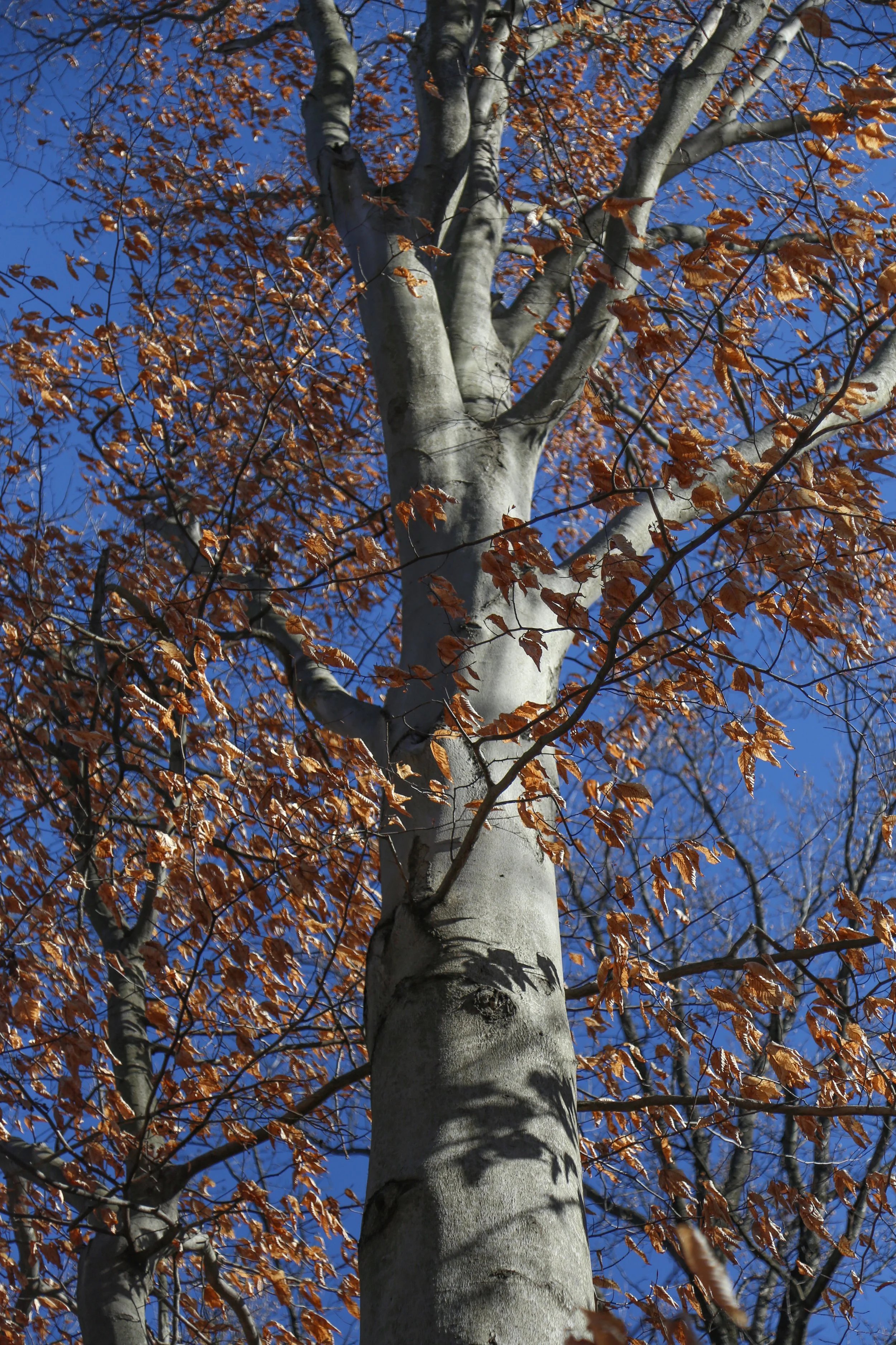 February 10, 2023, Mariton Wildlife Sanctuary