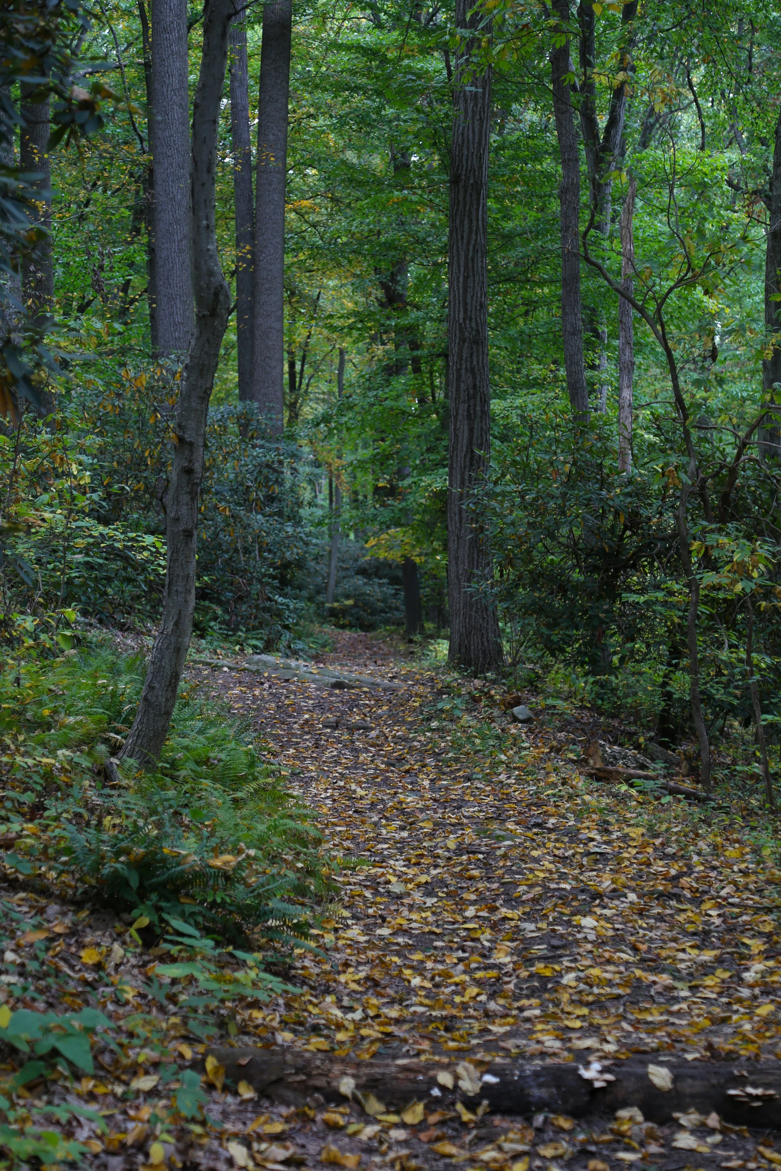Mariton Wildlife Sanctuary, October 6, 2023