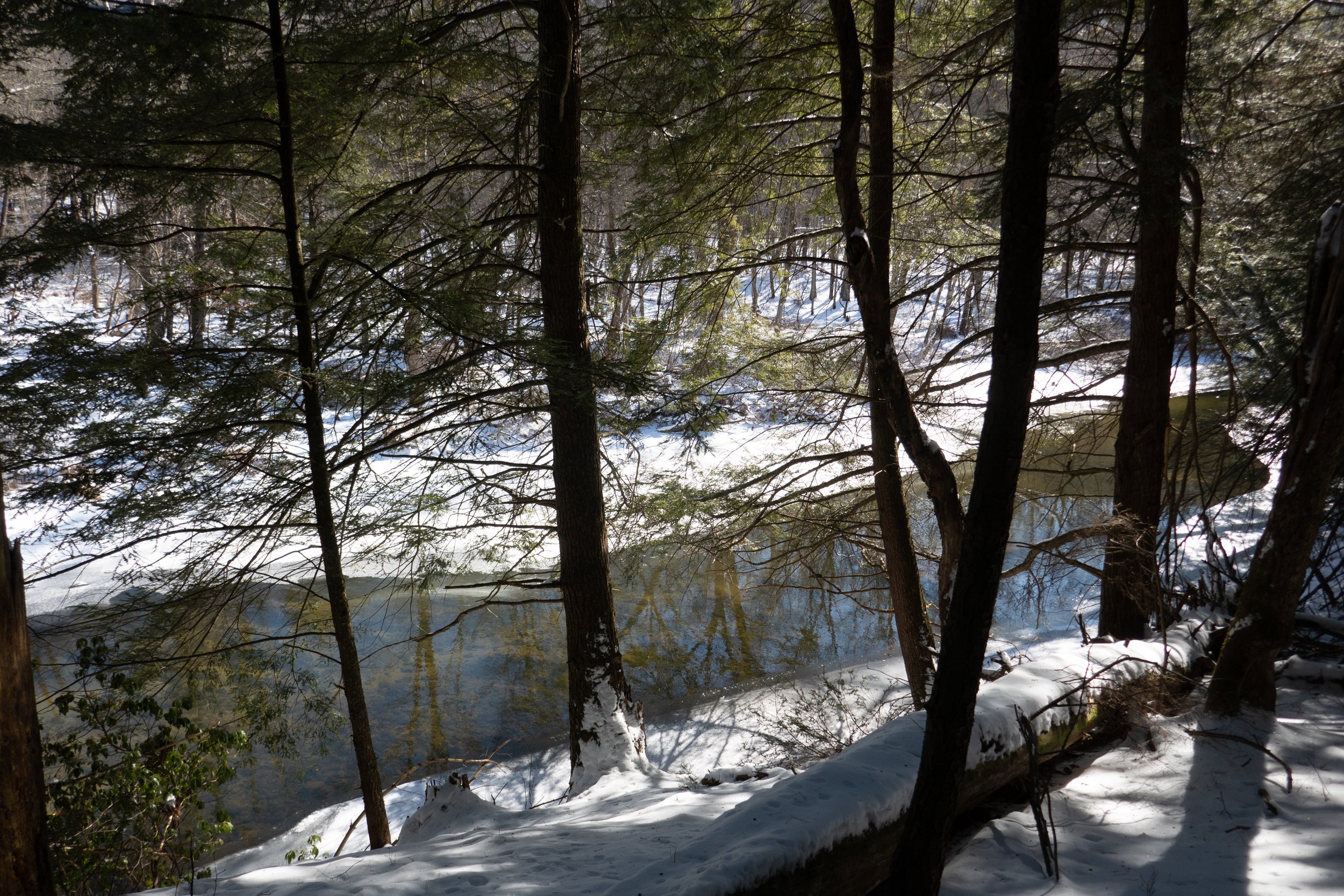  Nescopeck Creek was crystal clear. 