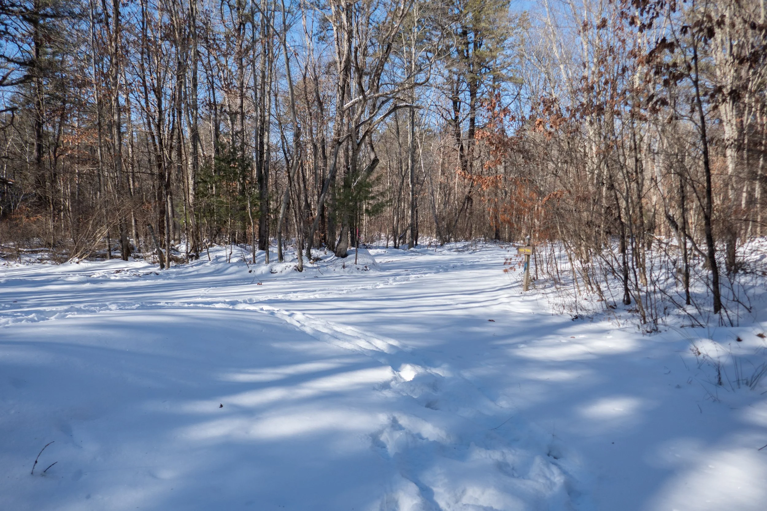  At the Fern Trail, we began to head away from the creek. 