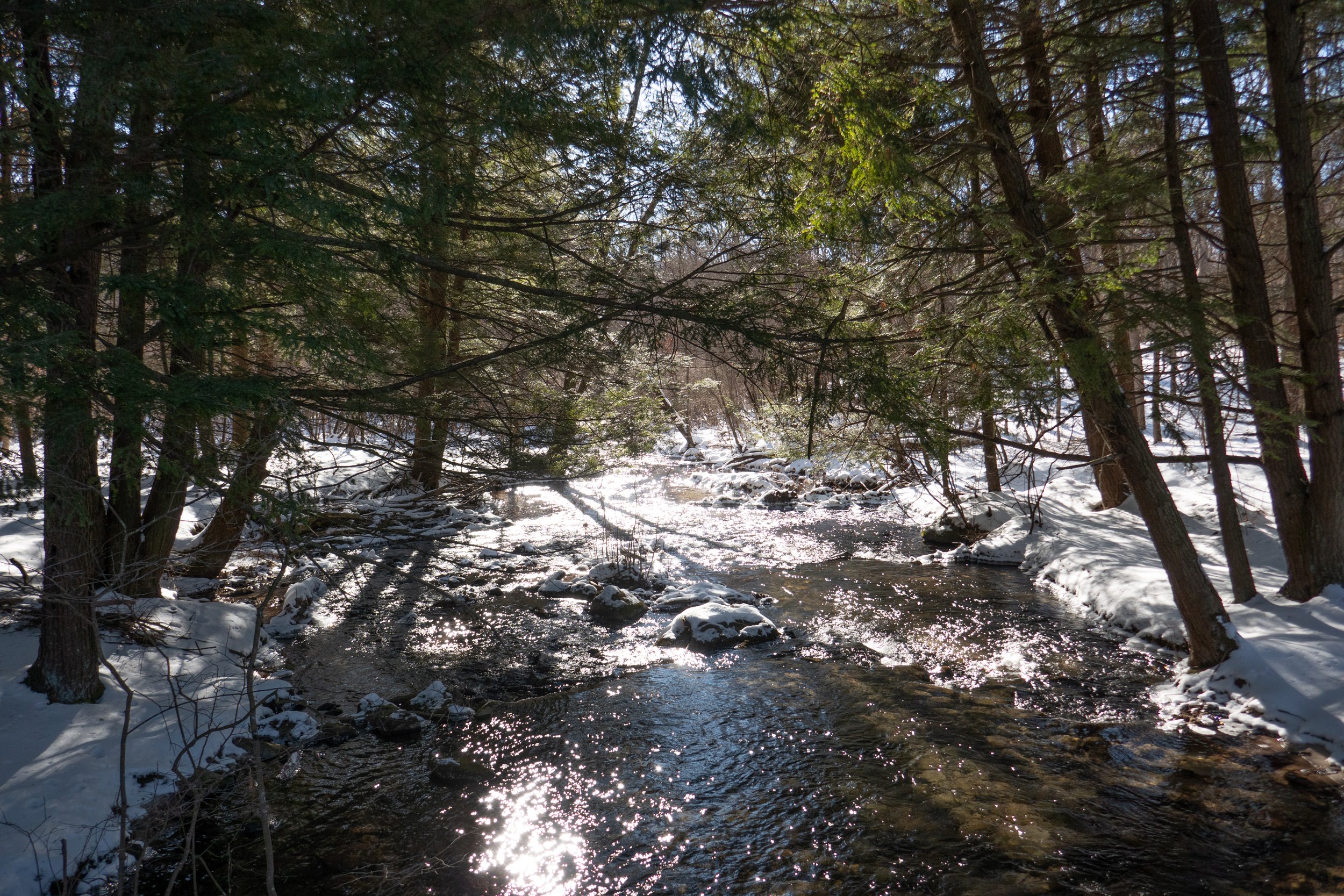  This was an exceptionally beautiful part of the trail.  The water was sparkling with sunlight. 