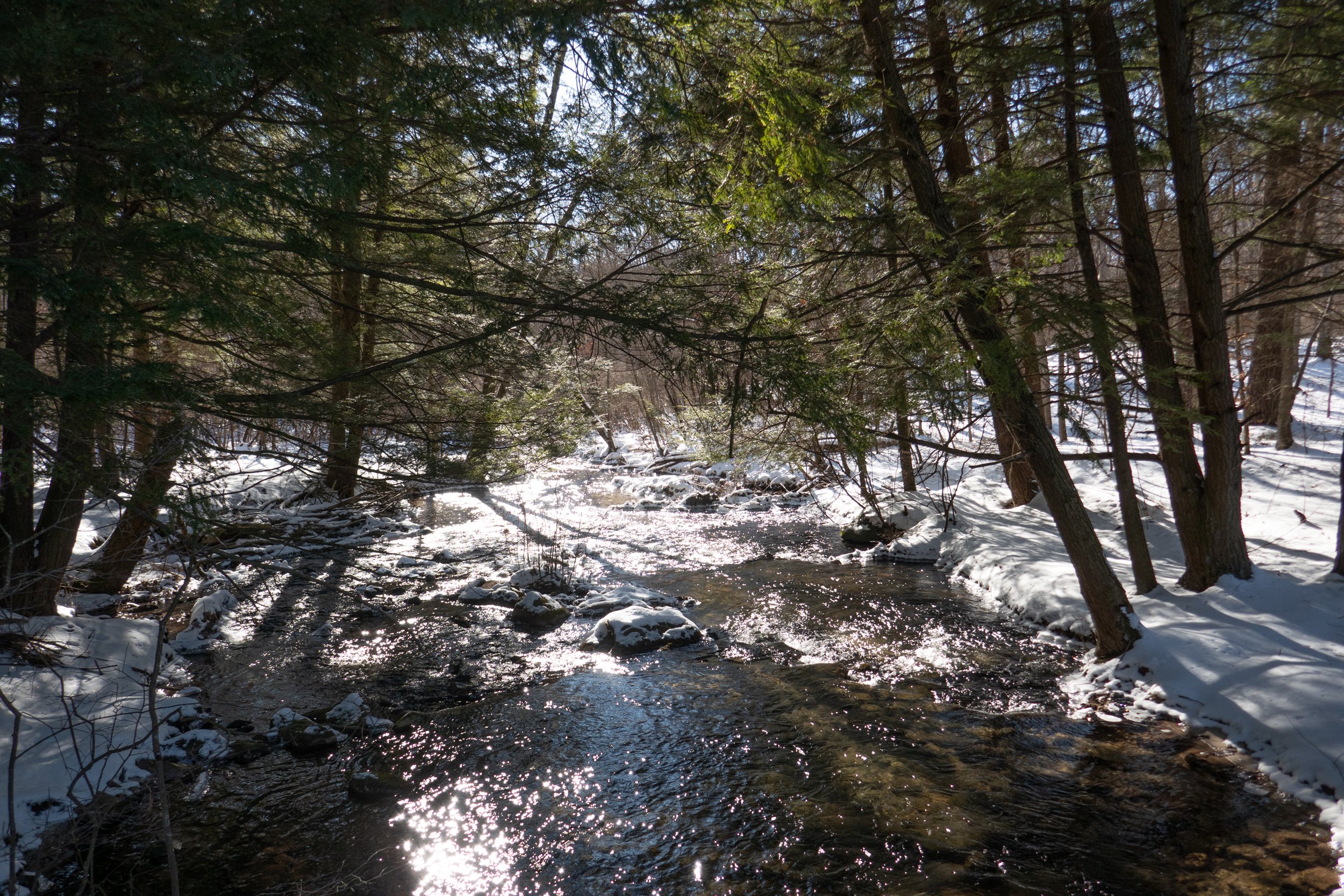  We stopped here to enjoy the moment and the beauty of winter. 