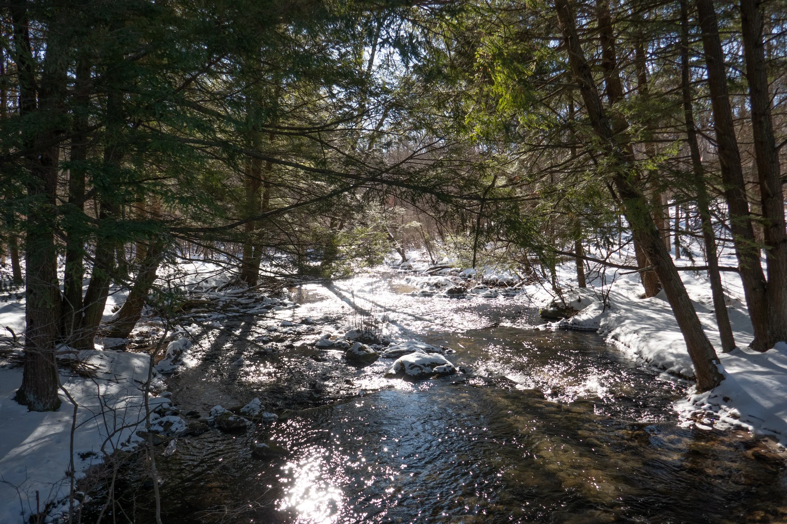 Nescopeck State Park, Snow Hike, 3.55 Miles, Januar 21, 2023
