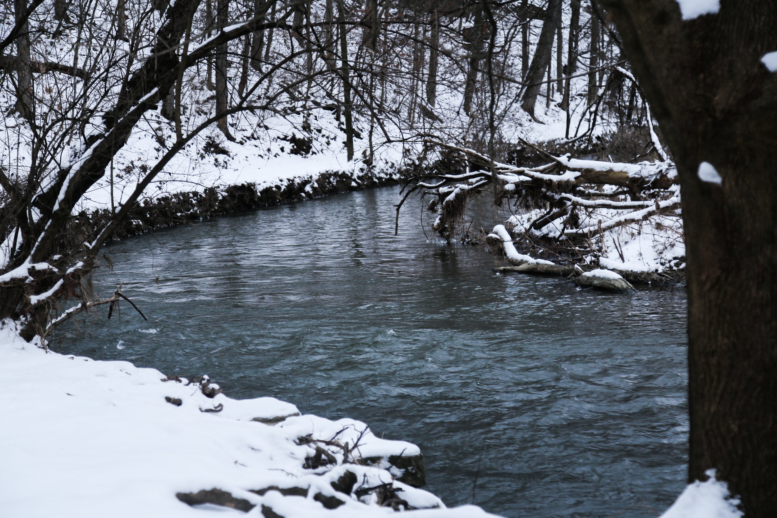  The creek was not frozen and still flowing. 