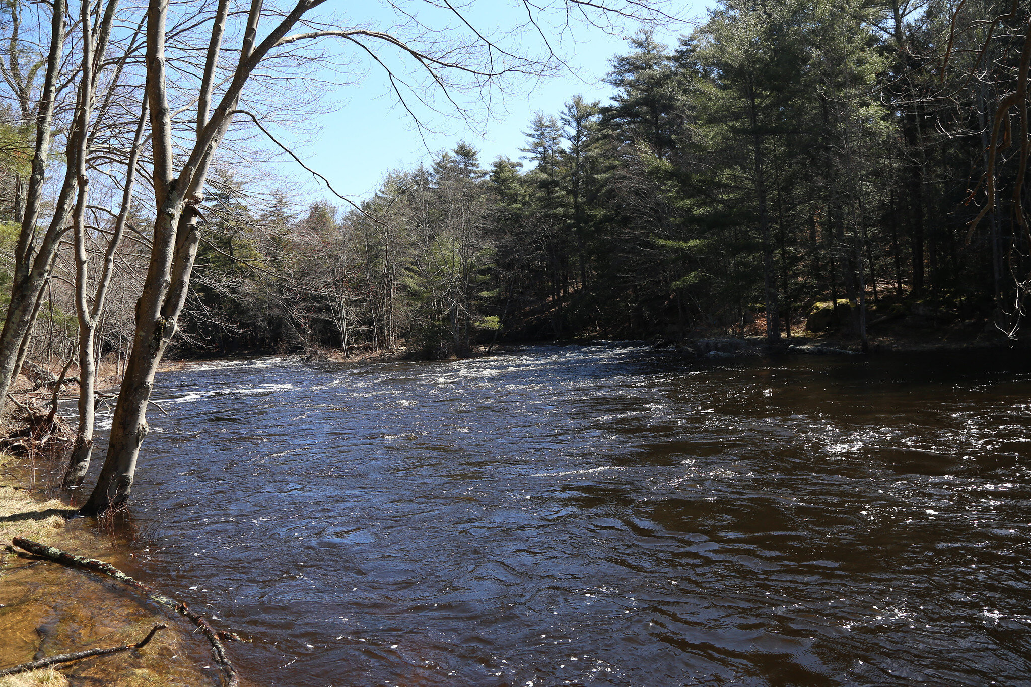 Austin T. Blakeslee Natural Area