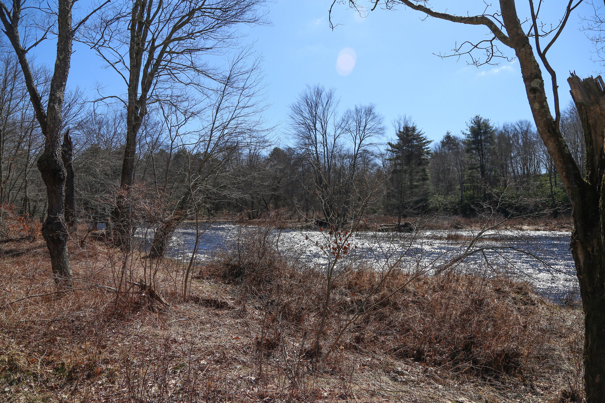 Austin T. Blakeslee Natural Area