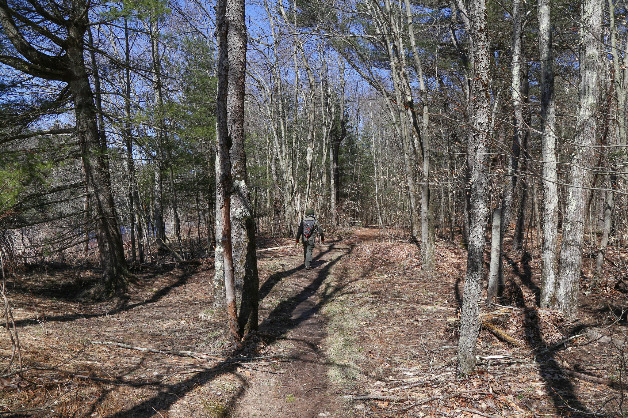 Austin T. Blakeslee Natural Area