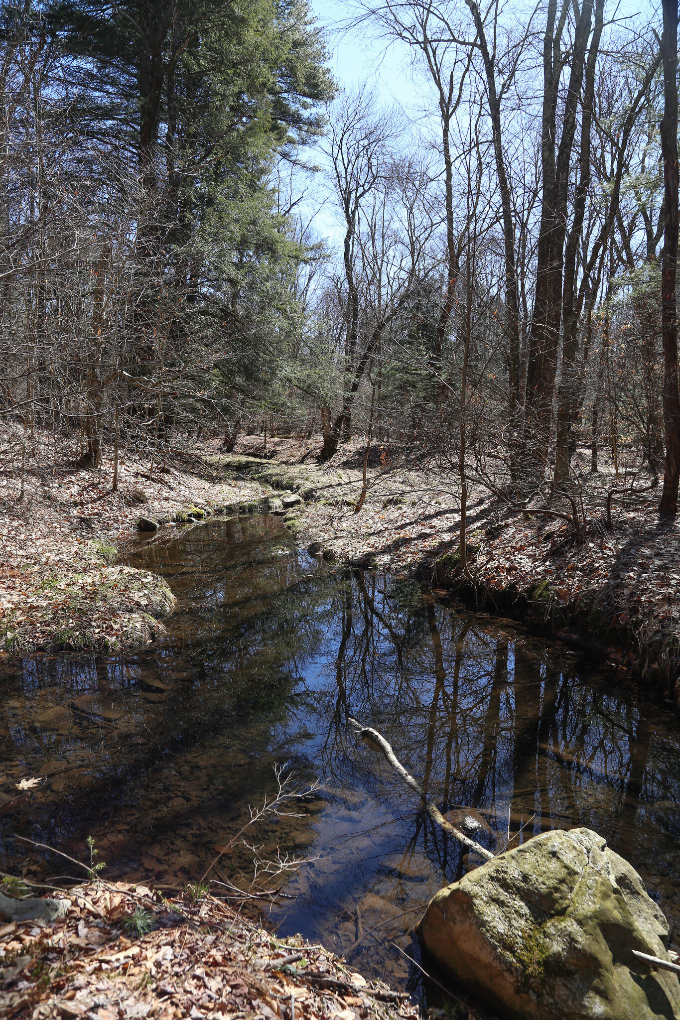 Austin T. Blakeslee Natural Area