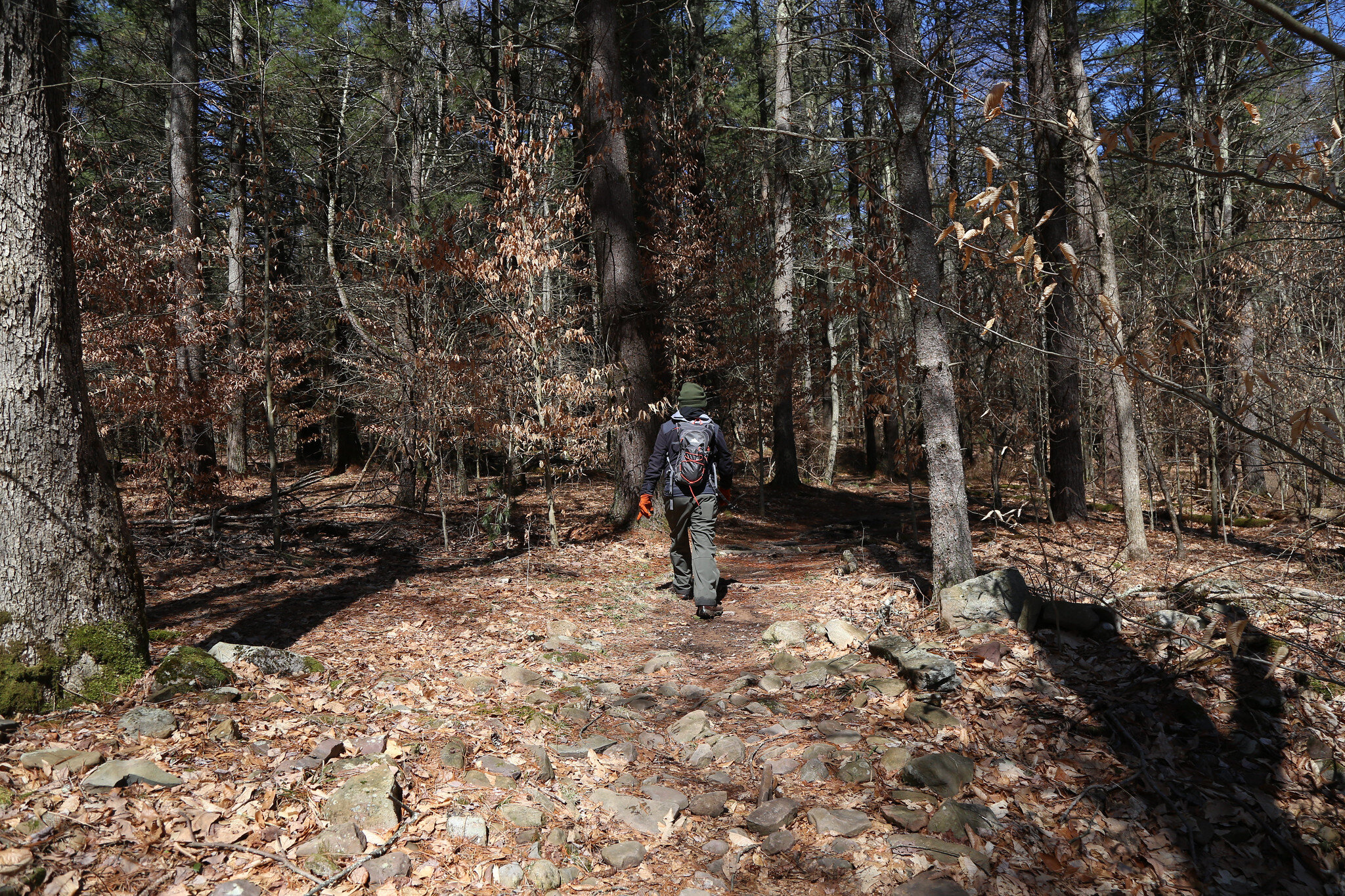 Austin T. Blakeslee Natural Area