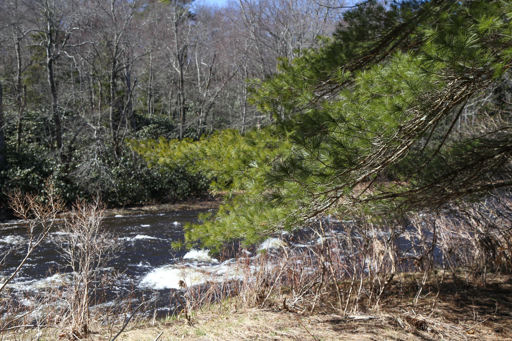 Austin T. Blakeslee Natural Area