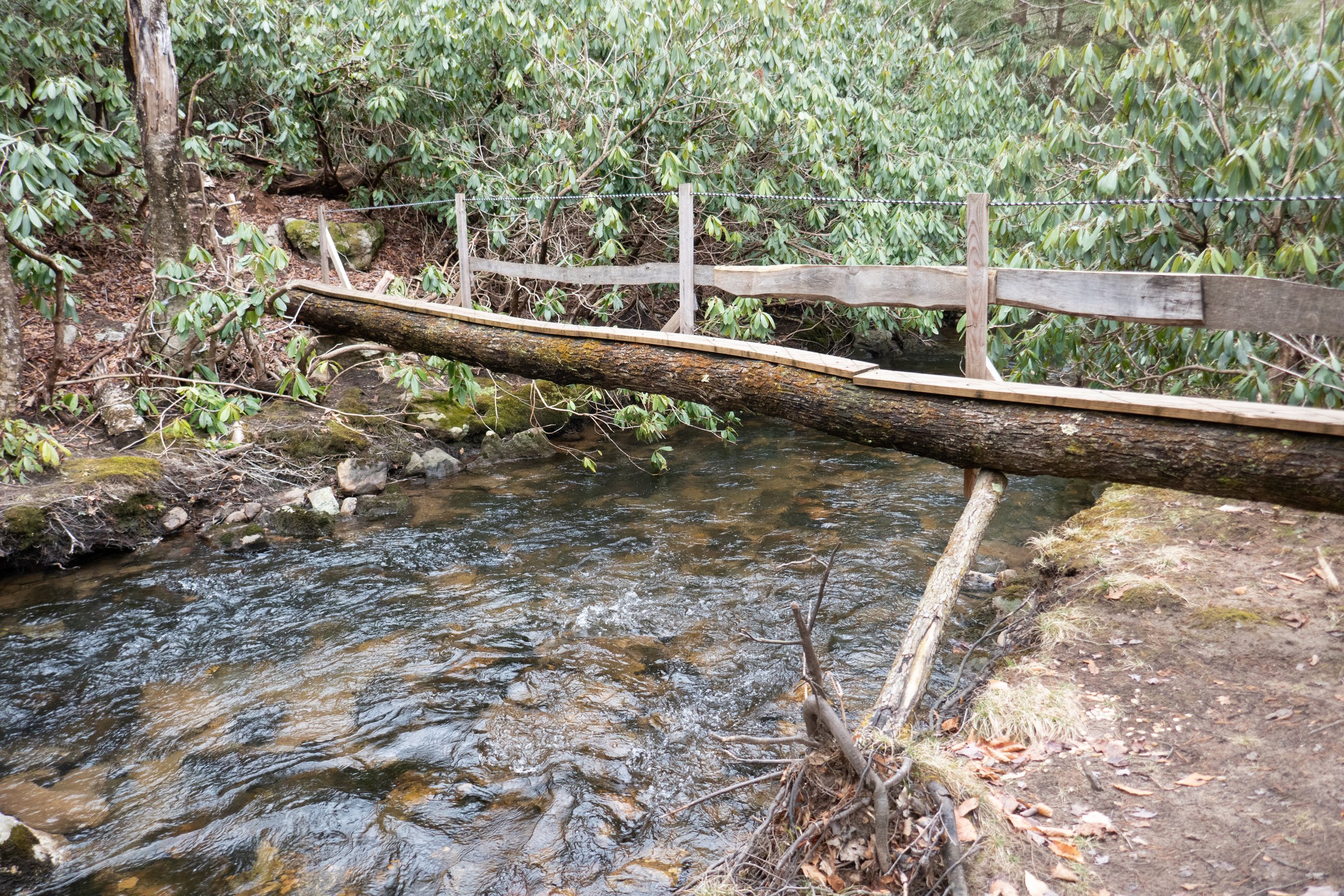  The first bridge crossing over Shades Creek.  We crossed over to the southeastern bank.  