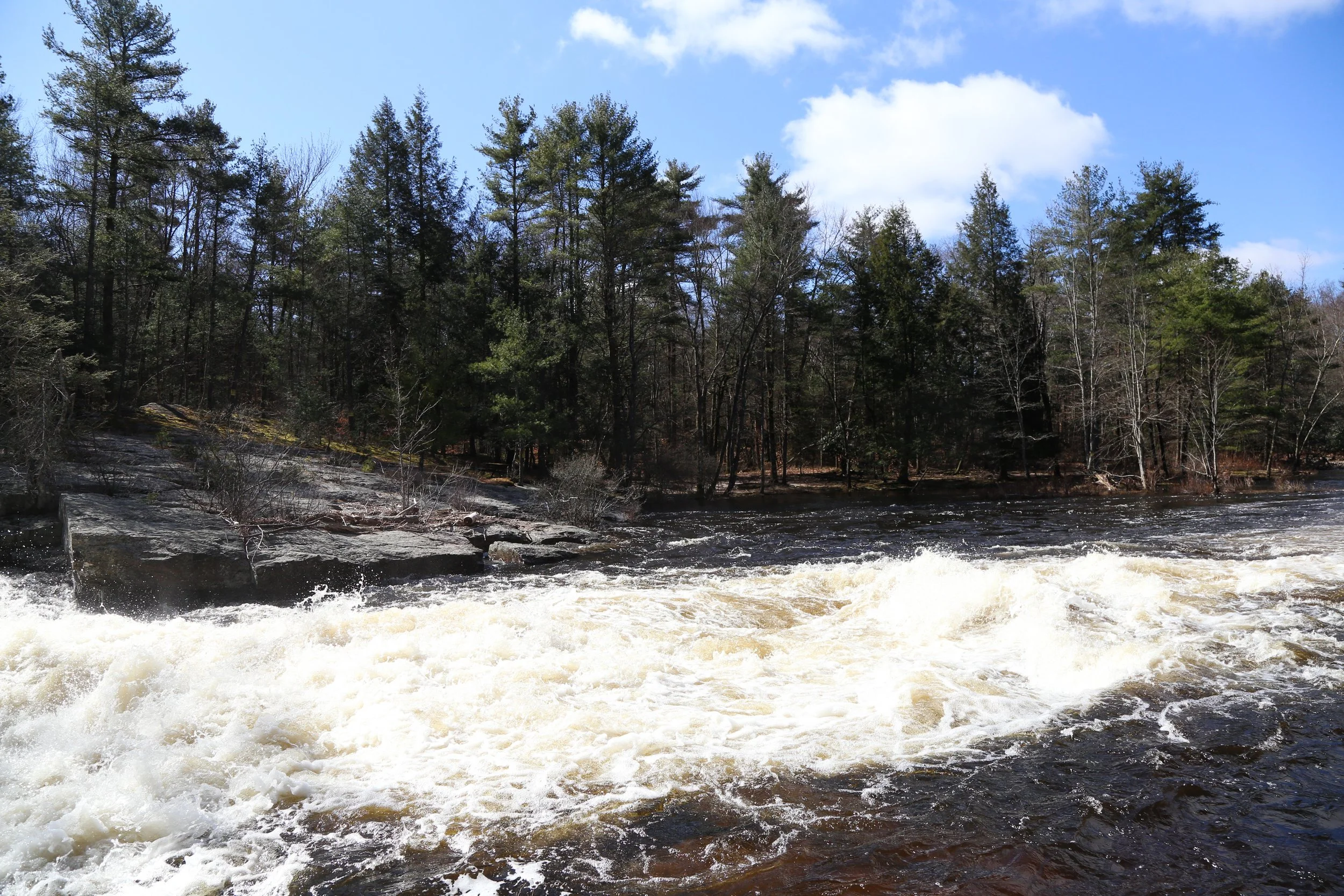 Austin T. Blakeslee Natural Area, Tobyhanna Falls, March 24, 2024