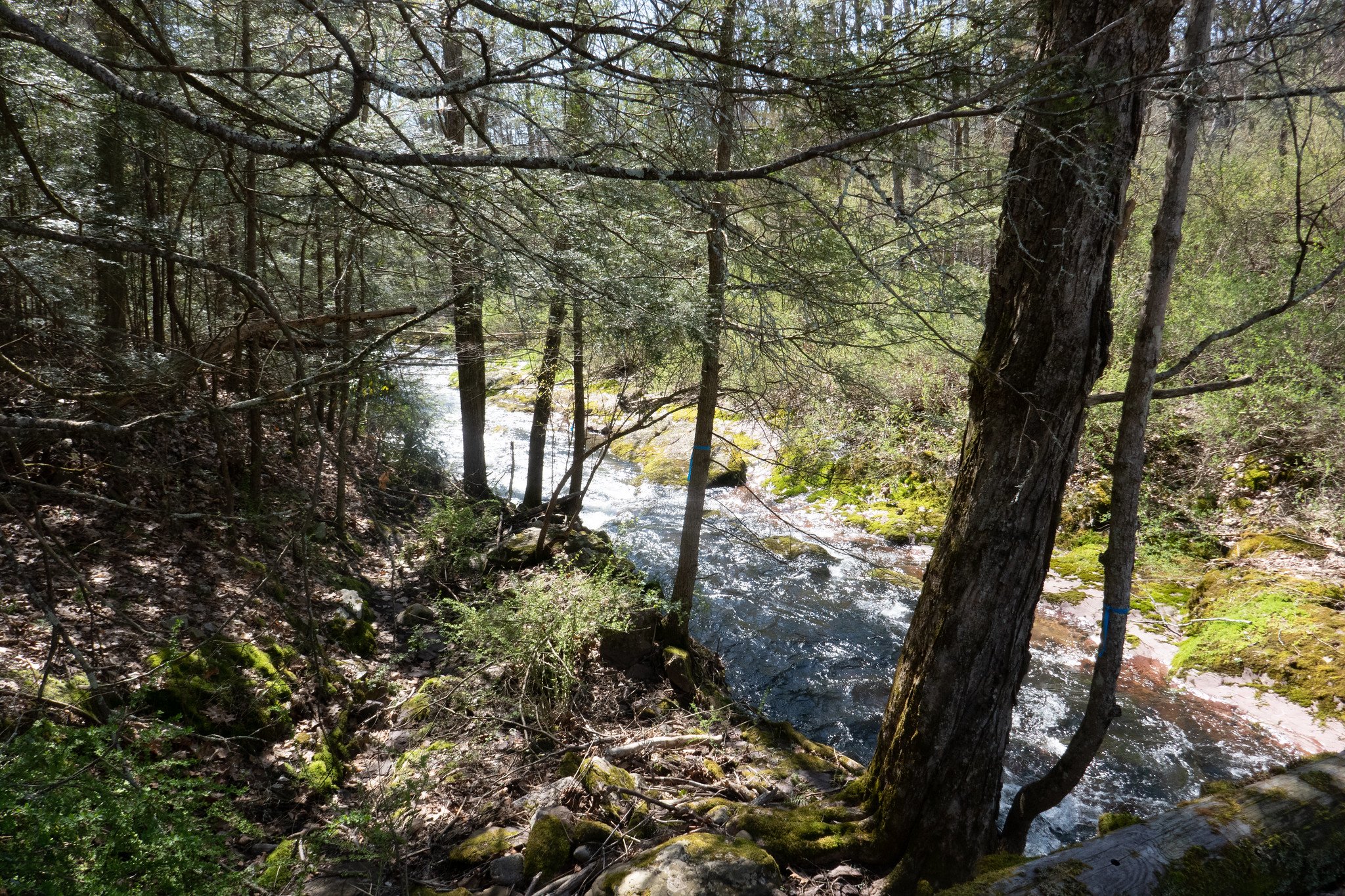 Delaware Water Gap Orchard Trail Hamilton Ridge Van Campens Glen