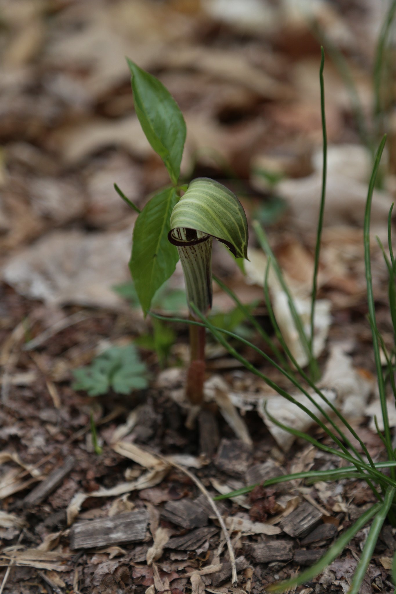 Mariton Wildlife Sanctuary