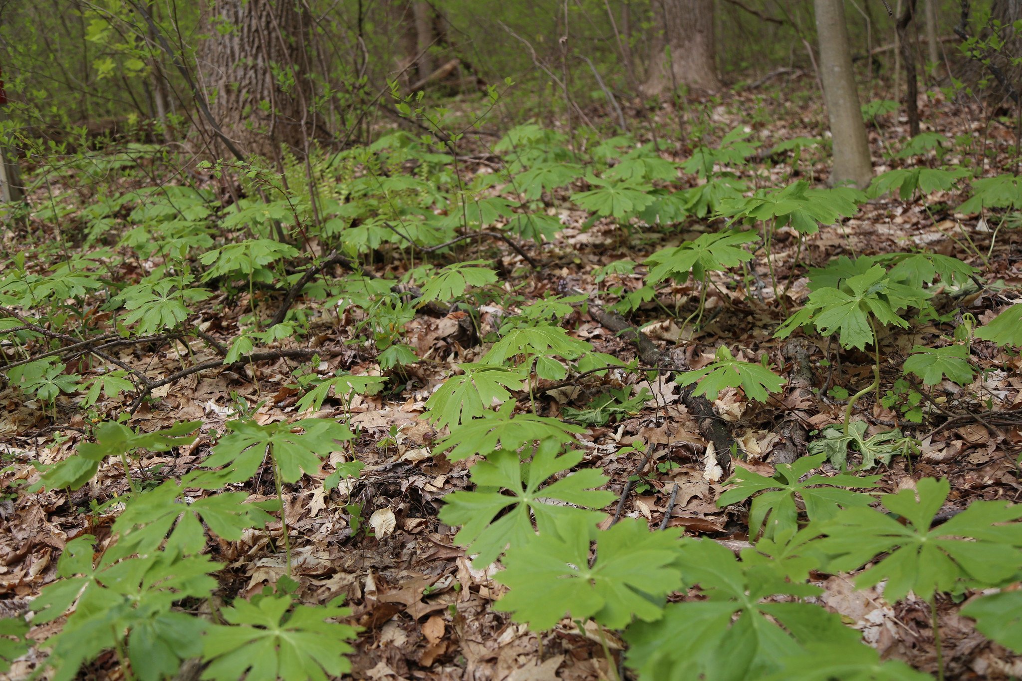 Mariton Wildlife Sanctuary