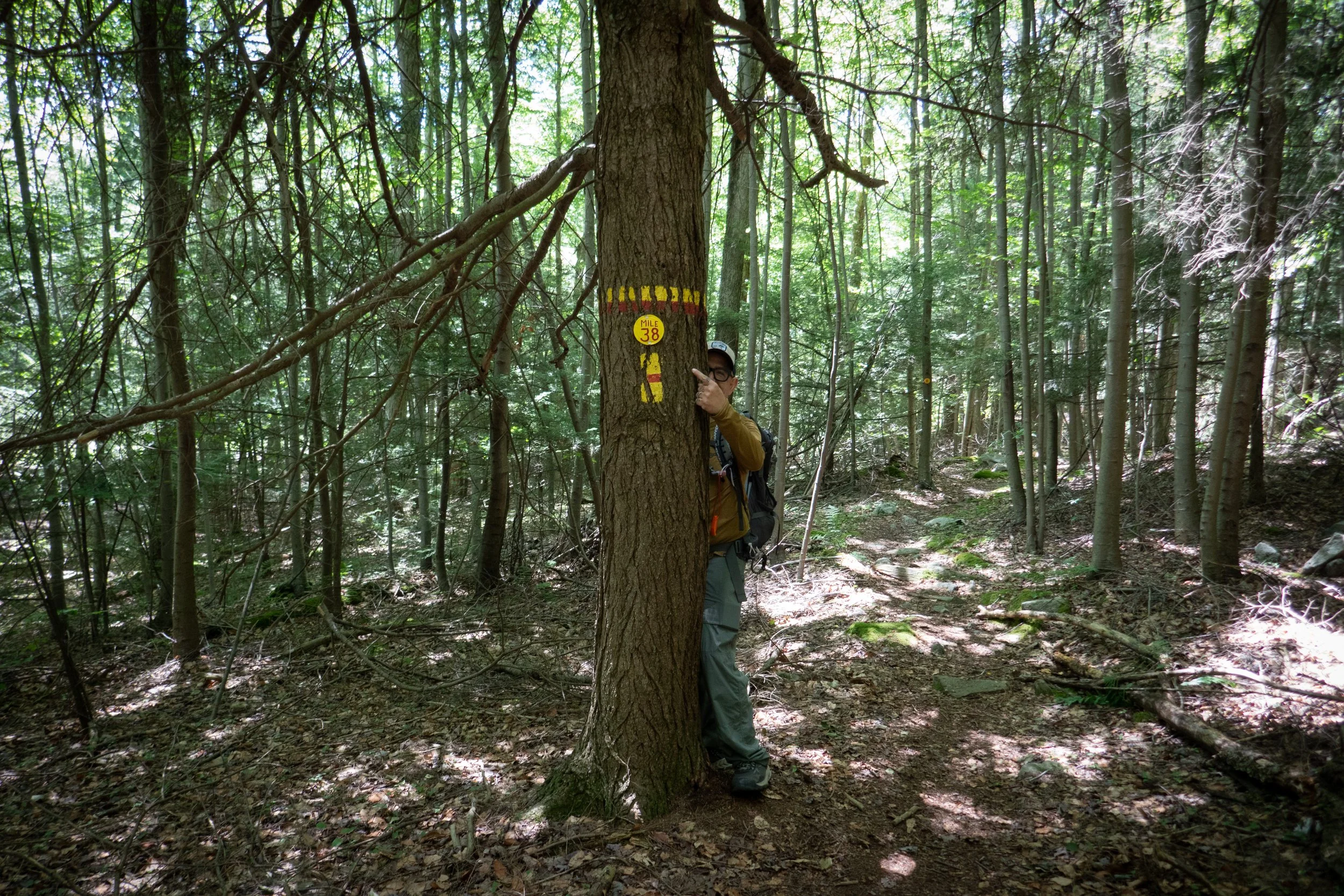 Worlds End State Park Camping &amp; Hiking in Loyalsock State Forest, July 7 &amp; 8, 2024