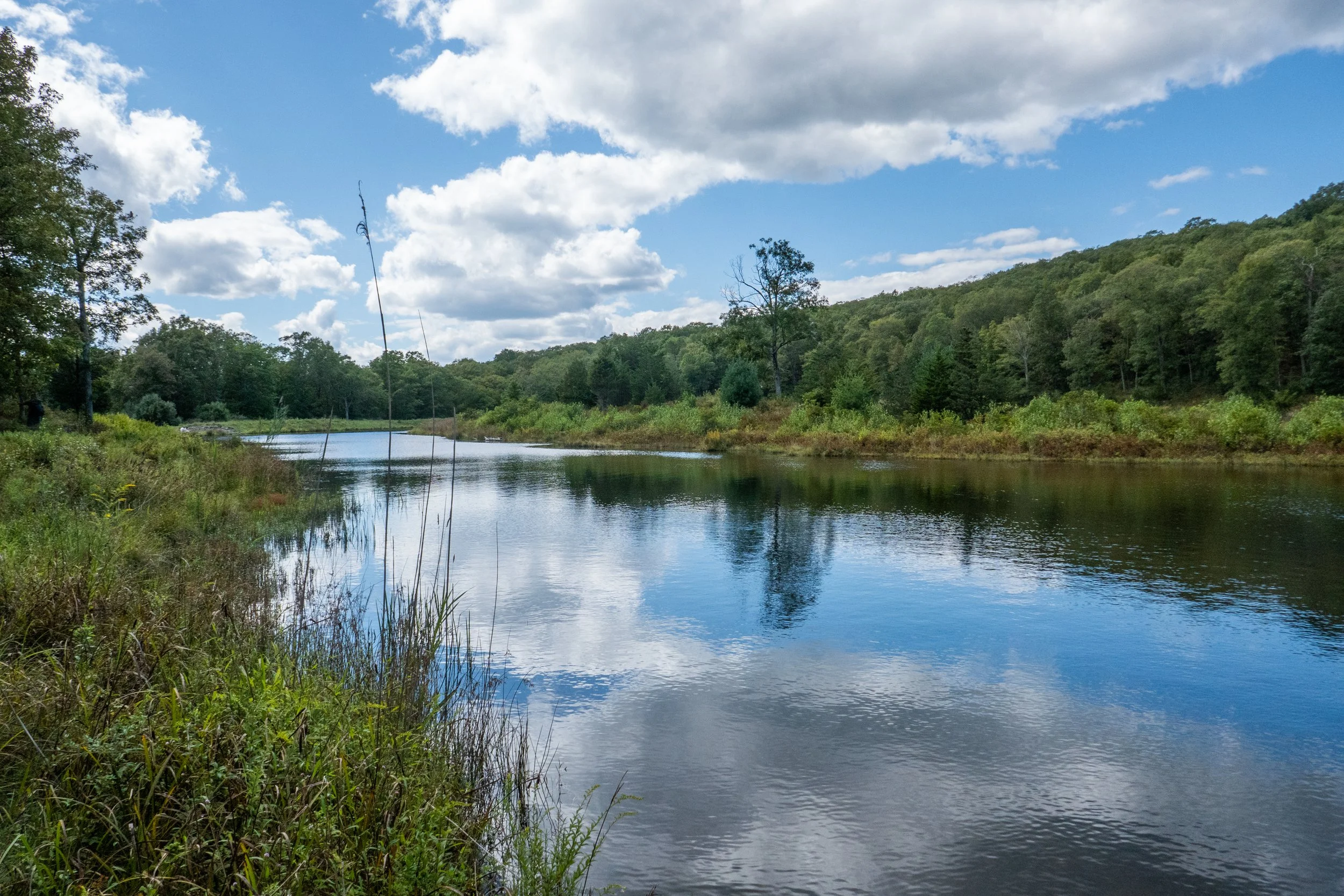 Delaware Water Gap National Recreation Area: Blue Mountain Lake, Hemlock Pond, Lake Success, Crater Lake Loop, 8+ Miles RT, September 2, 2024