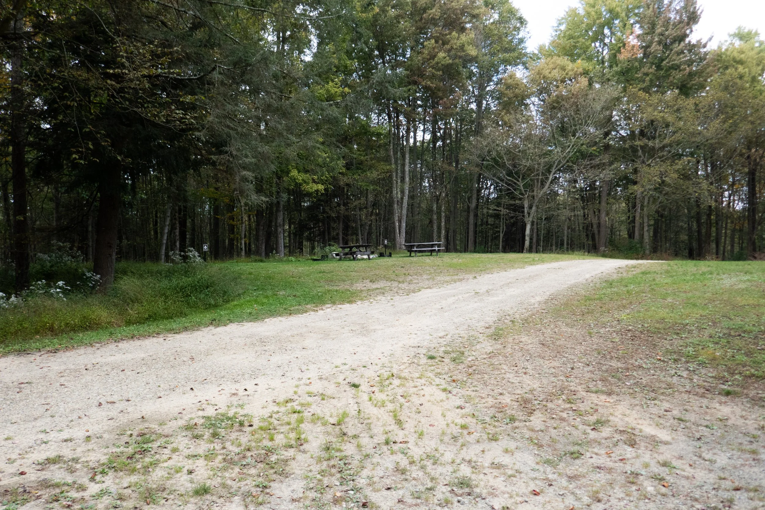 lrP1370843.jpg