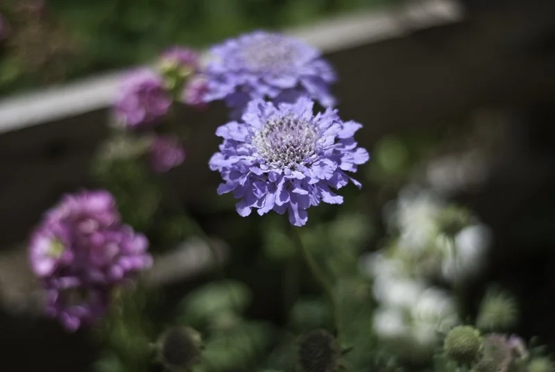lrDSC_0014-2-Edit.jpg