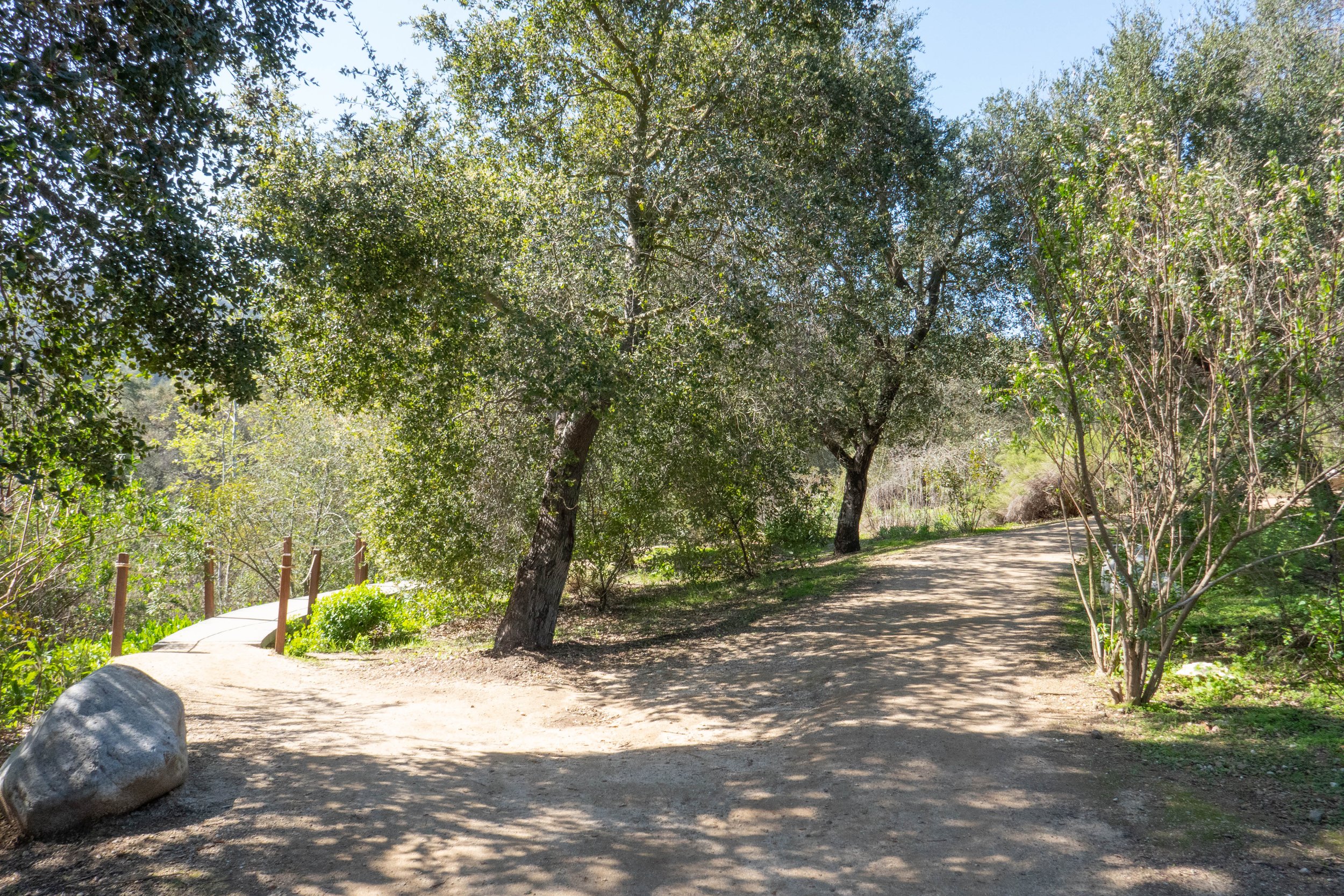 WEB-1380200.jpg