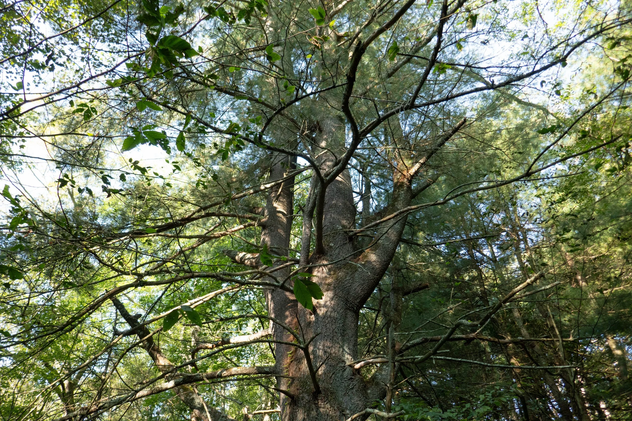 WEB-1380768.jpg