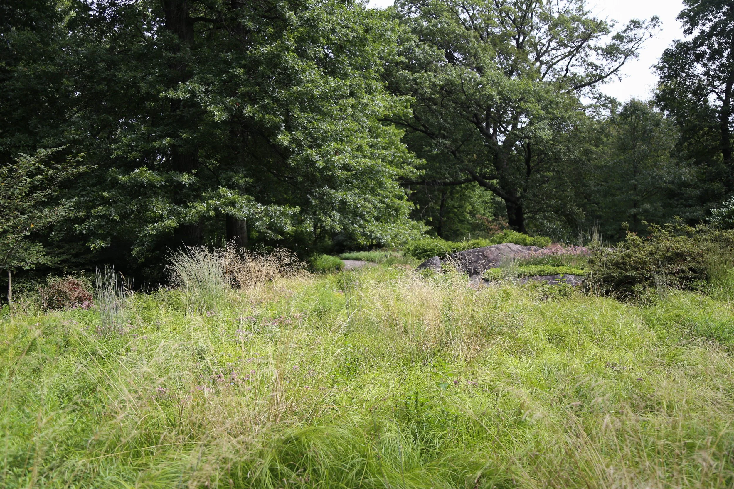 WEB-9770.jpg