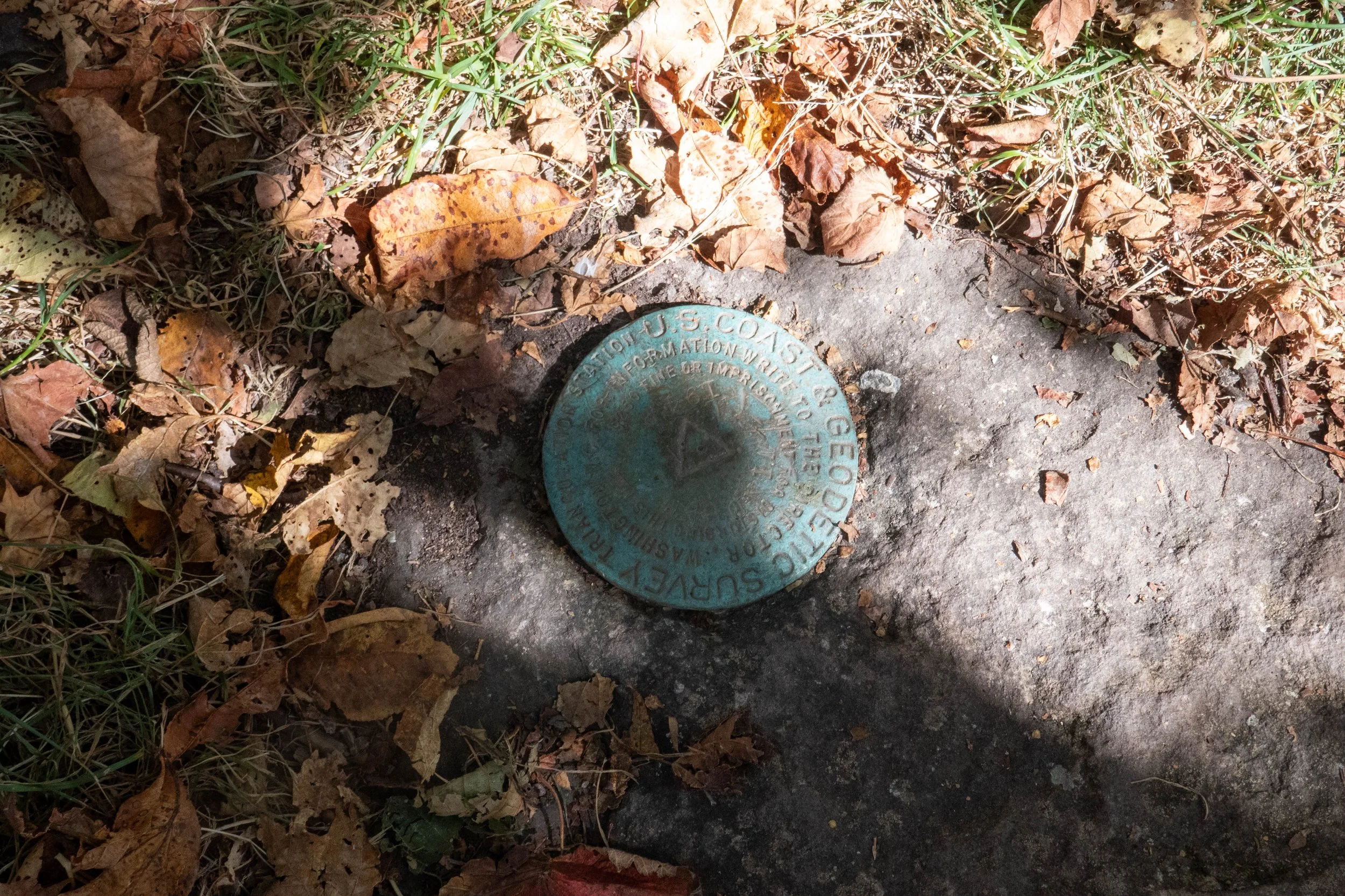 WEB-1390051.jpg