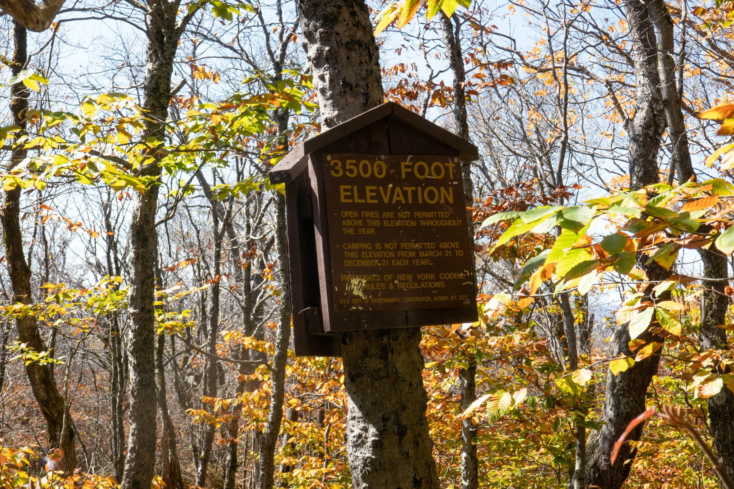 WEB-1390191.jpg