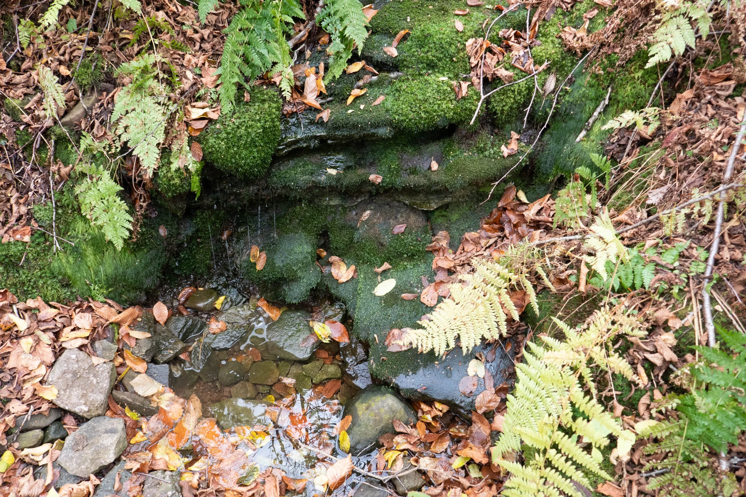 WEB-1390289.jpg