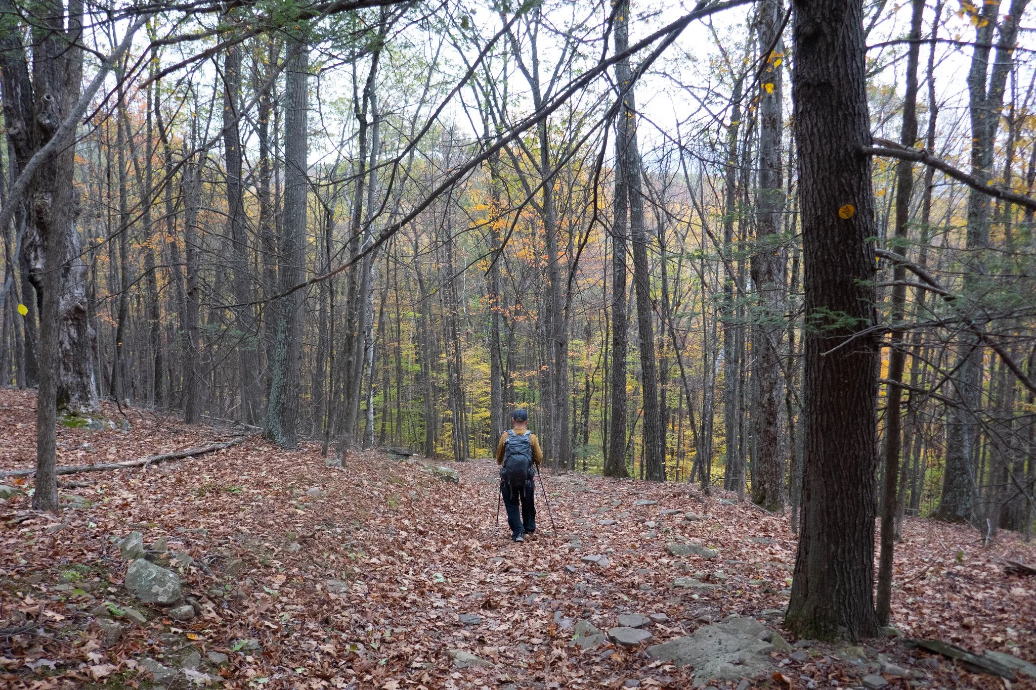 2025.10.19 Mt. Tremper from Jessup Rd