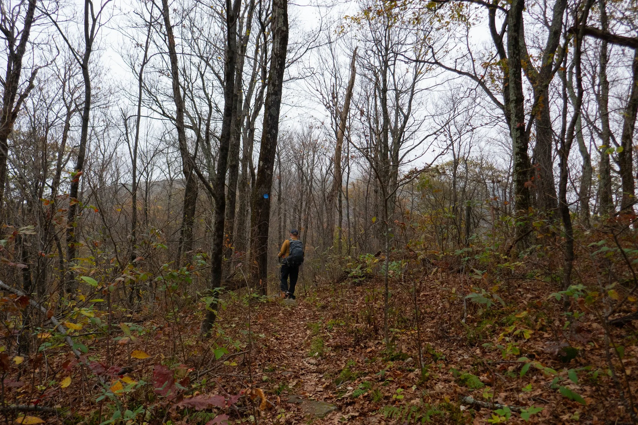 2025.10.19 Mt. Tremper from Jessup Rd