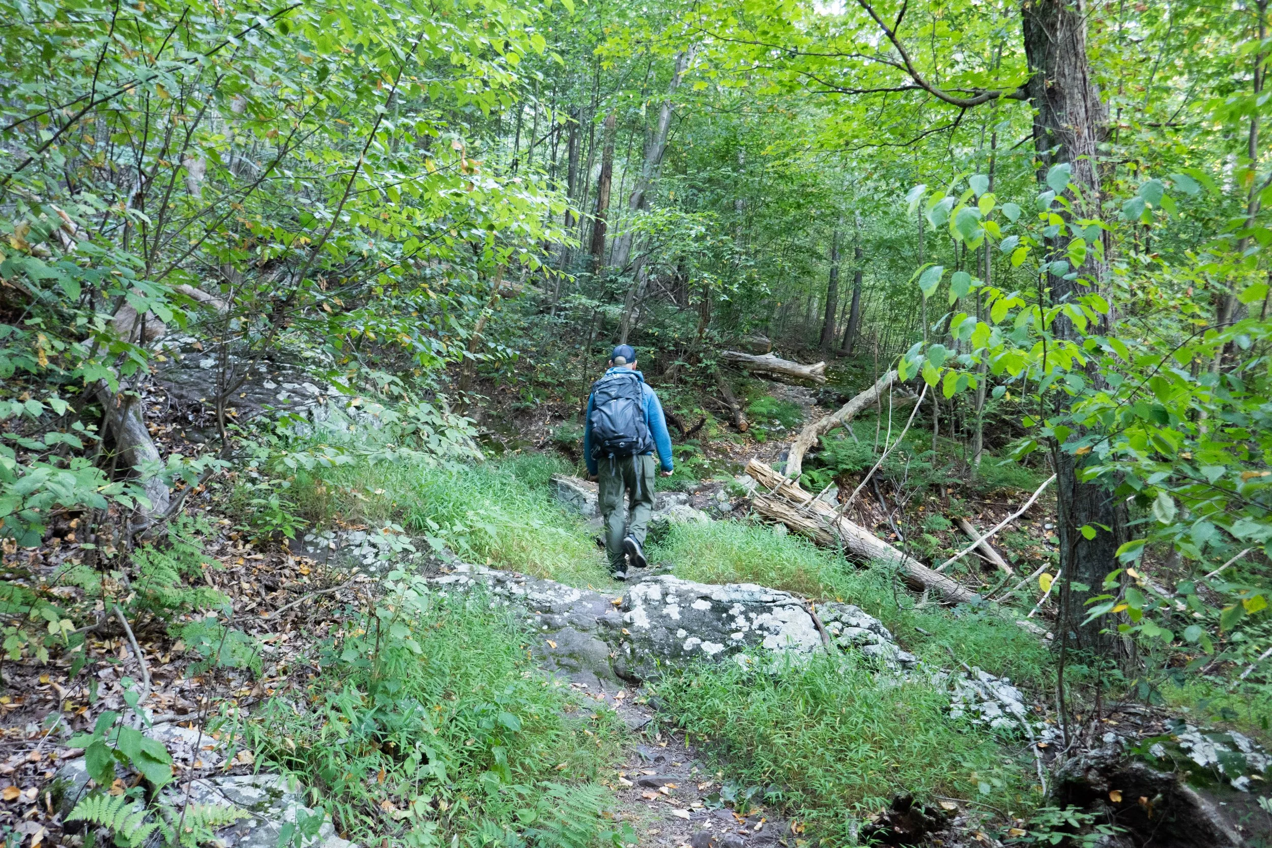 Delaware Water Gap National Recreation Area, Copper Mine Trail, Kaiser Trail, 6 Miles RT, August 31, 2025