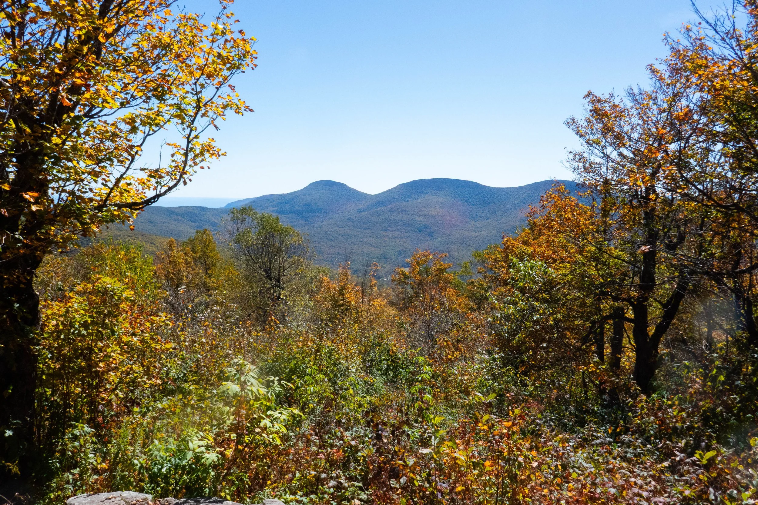 Catskill Park-Windham High Peak via Escarpment Trail, 8.67 Miles RT, 1,916' +/-, Max Elevation 3,524', September 20, 2025