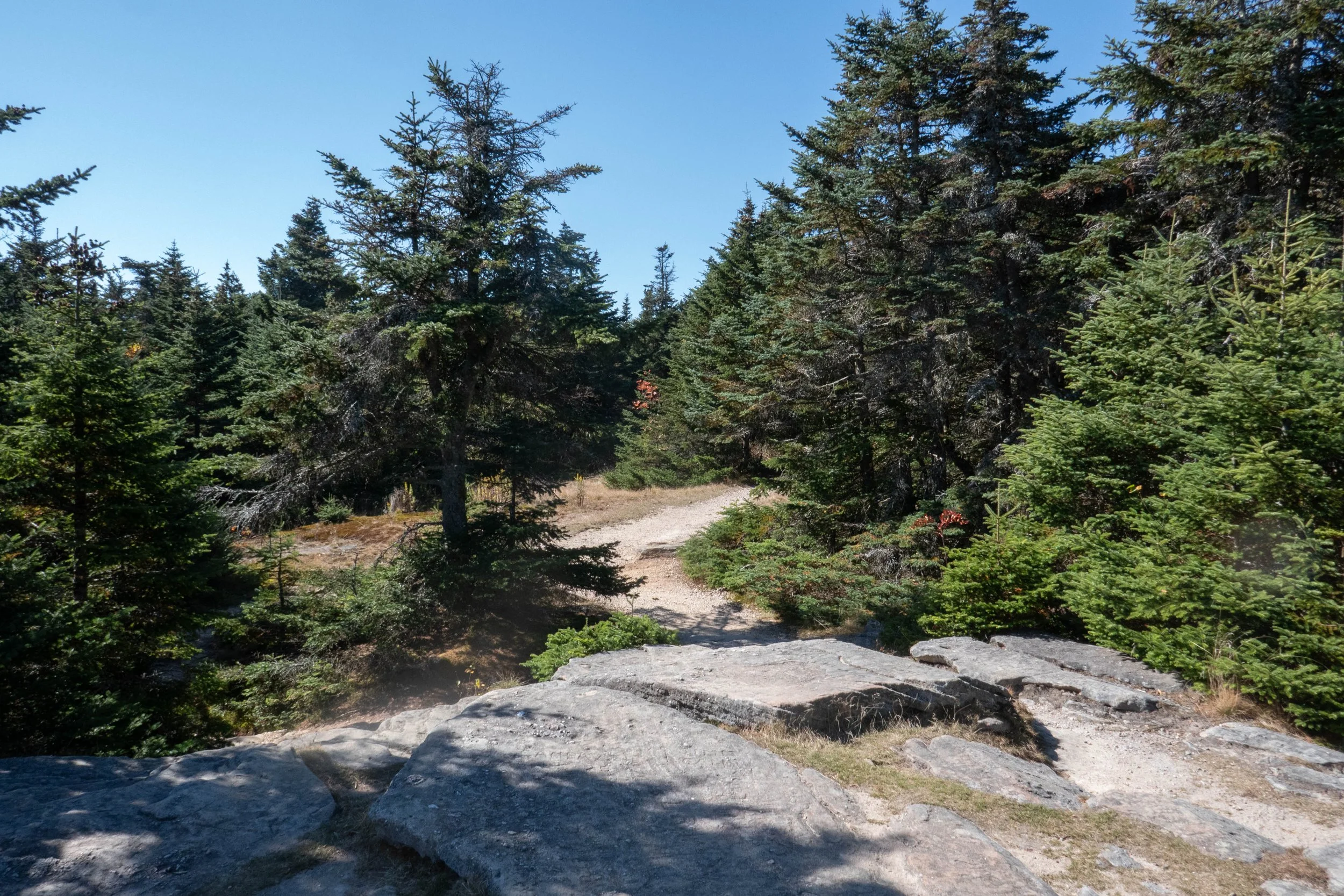 Catskills-Slide Mountain via Slide Mountain Trail &amp; Curtis Ormsbee Trail, 6.57 Miles RT, 1,801' +/-, Max Elevation 4,184', October 5, 2025