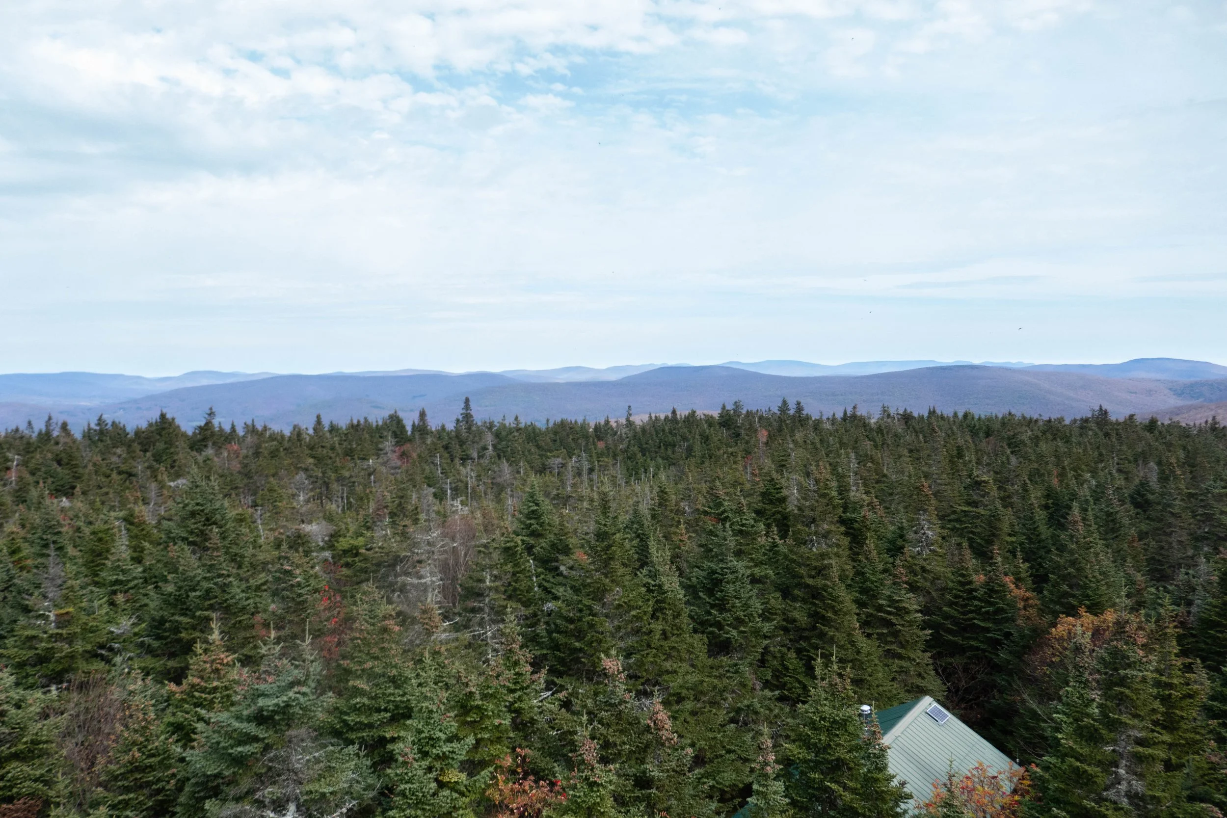 Catskills, Balsam Lake Mountain Fire Tower via Dry Brook Ridge, 6 Miles RT, 1,197' +/-, Max Elevation, 3,723', October 18, 2025