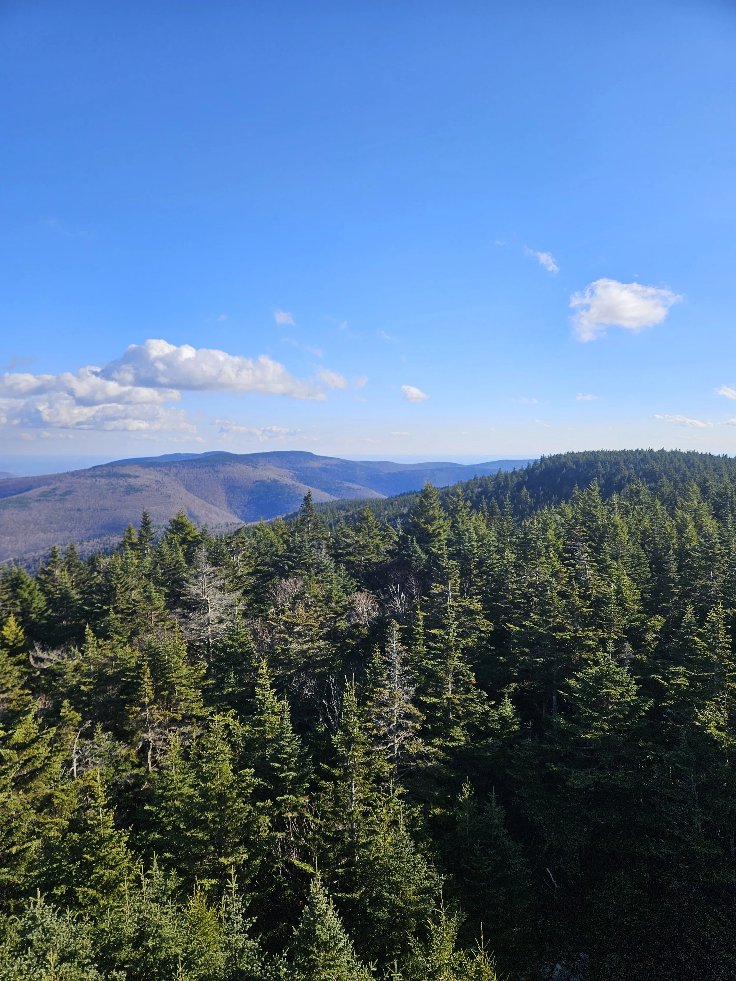 Catskills, Diamond Notch Falls via Spruceton Road + Hunter Mountain via Spruceton Trail out and back, 9.61 Miles RT, 2,194’ +/-, Max Elevation 4,040’, November 8, 2025