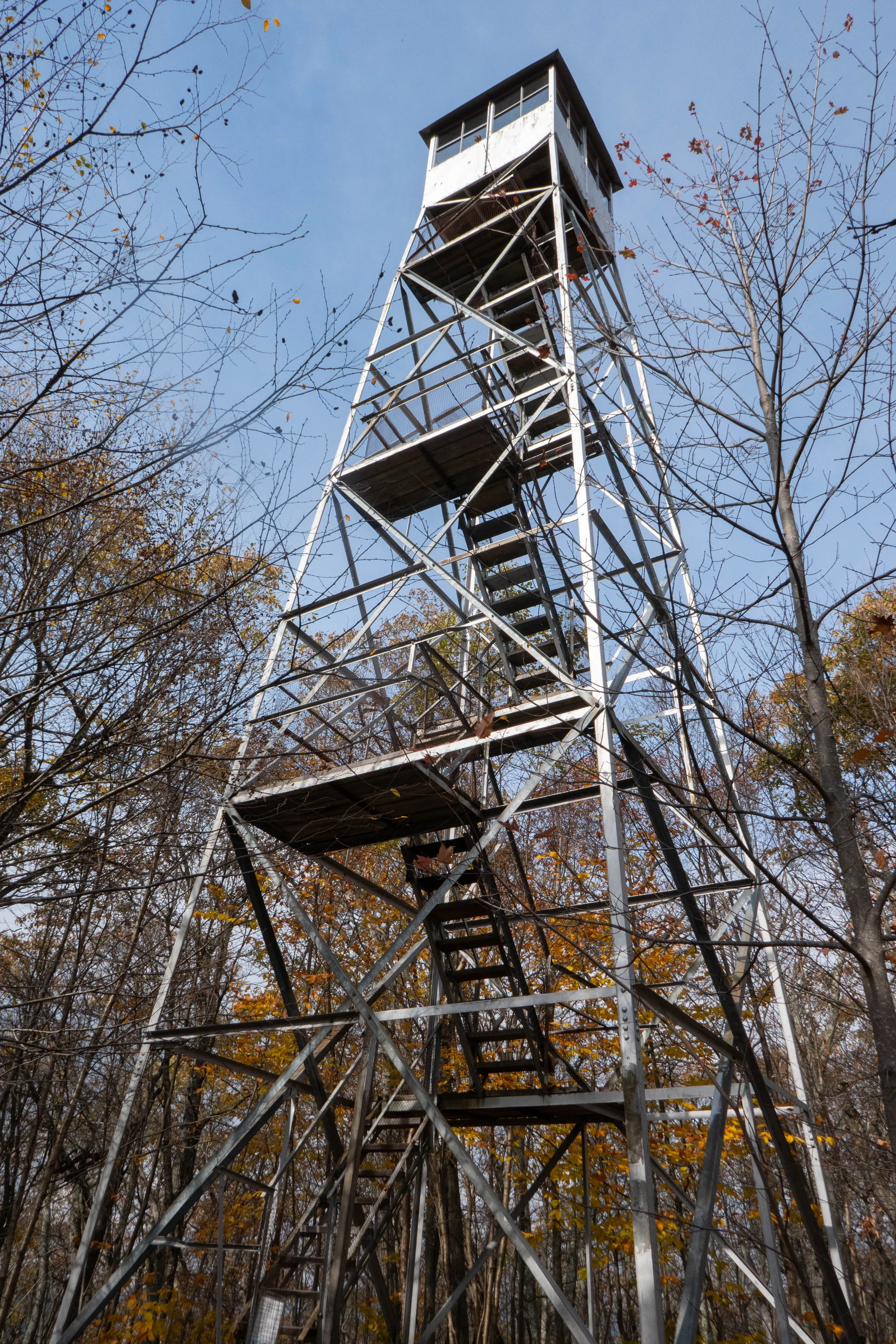 Catskills, Mt. Tremper Fire Tower via Jessup Road, Willow Trail & Warner Creek Trail, 7.1 Miles RT, 1,837' +/-, Max Elevation 2,740', October 19, 2025